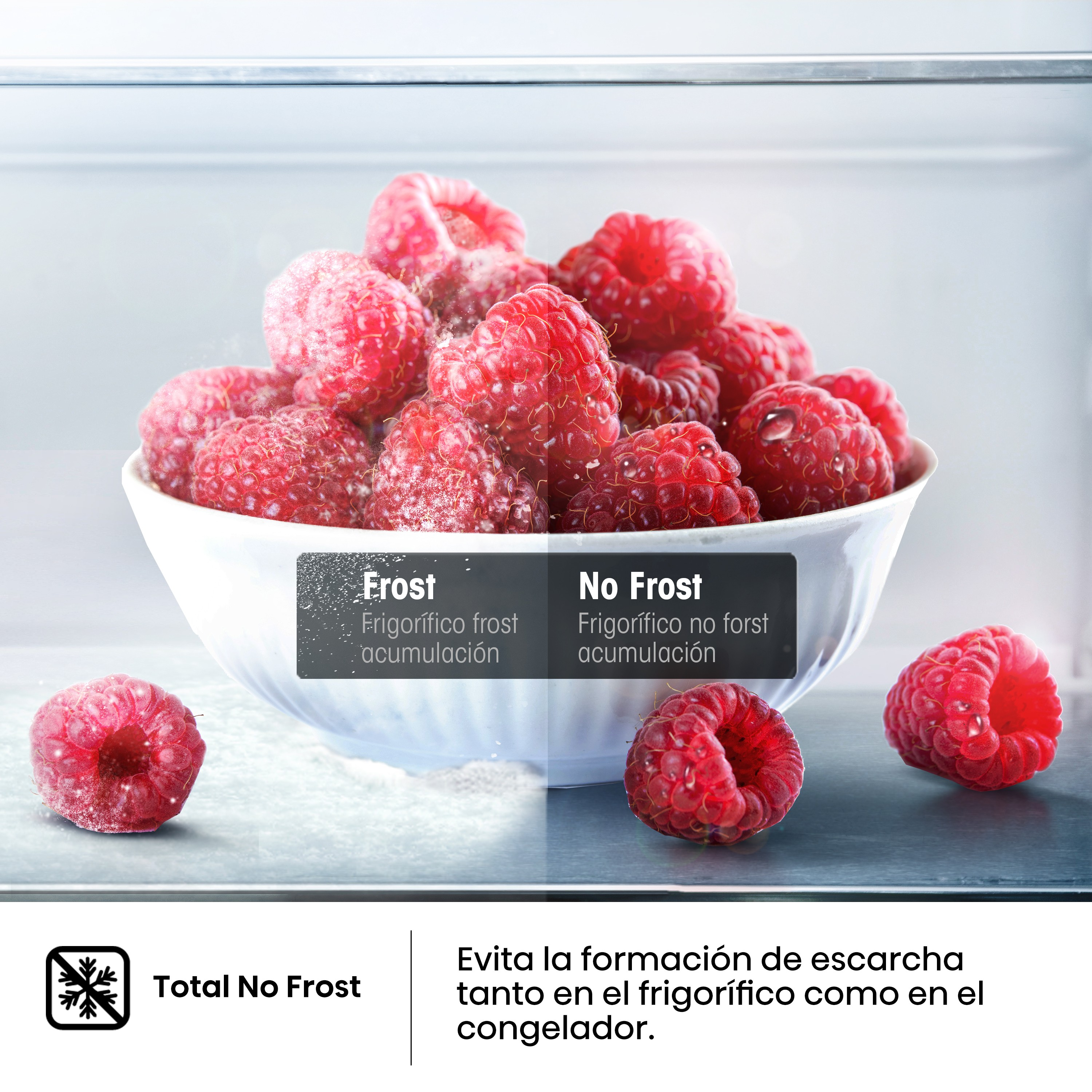 Un refrigerador muestra un cuenco de frambuesas. El texto compara las tecnologías Frost y No Frost.