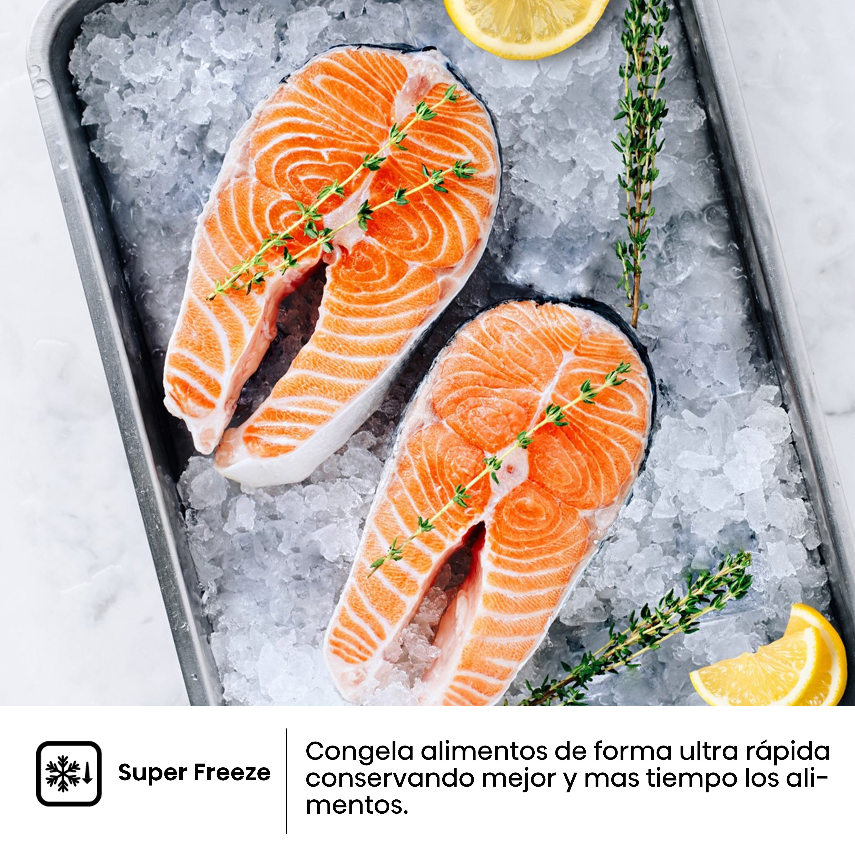 Dos cortes de salmón sobre hielo en una bandeja metálica. El texto destaca la función Super Freeze.