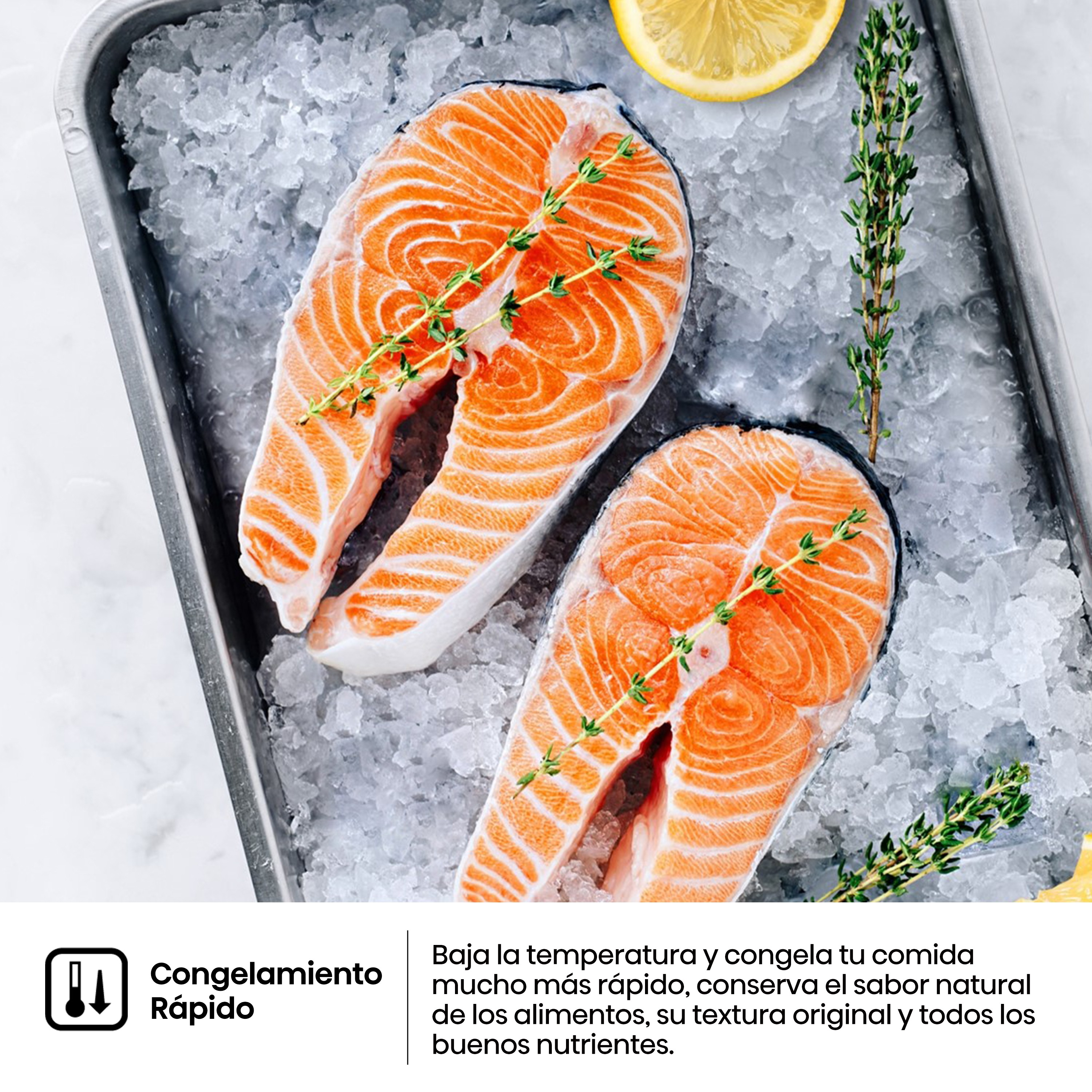 Dos filetes de salmón sobre hielo, con hierbas. Texto: Congelación rápida. Conserva sabor y nutrientes.