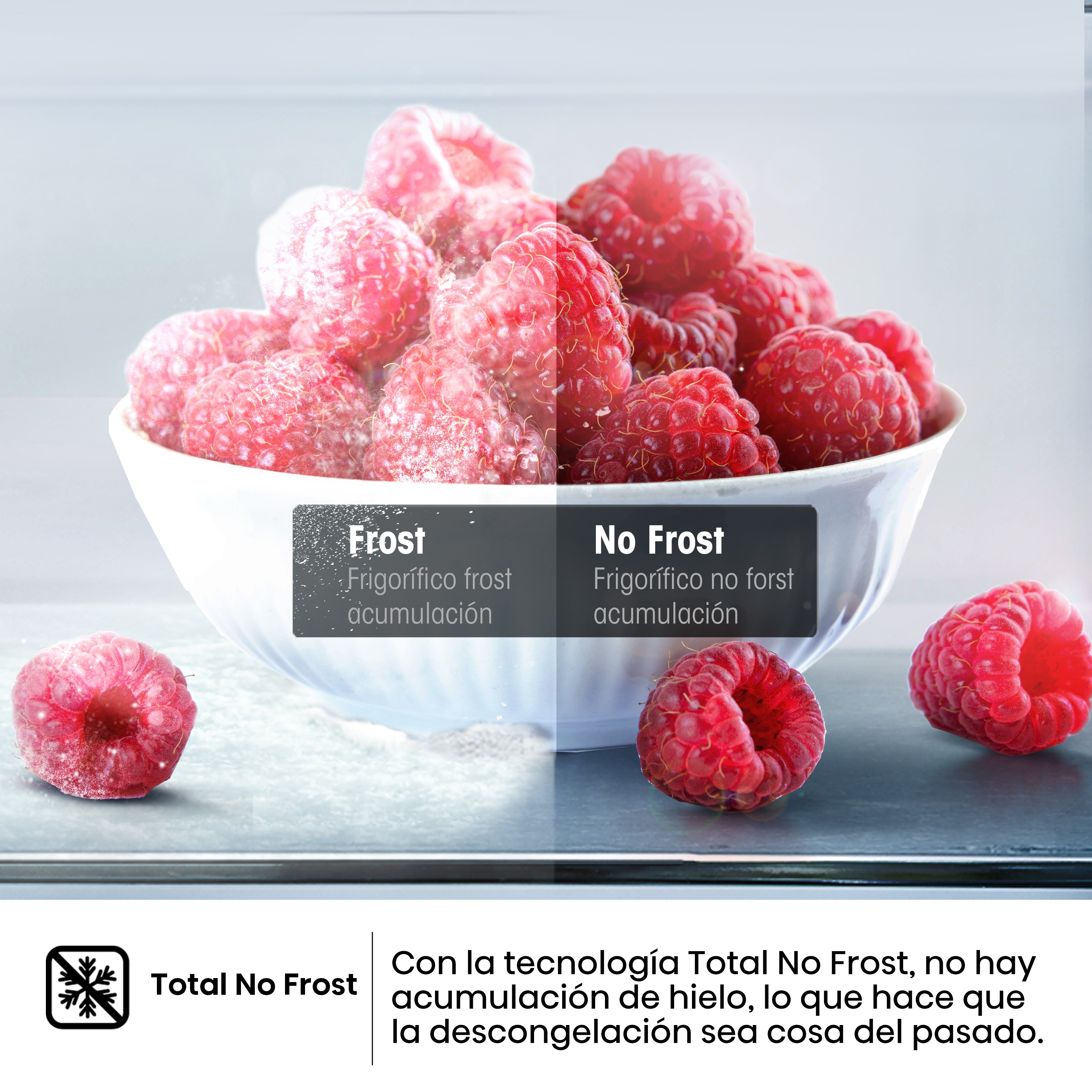 Frambuesas en un cuenco, comparación: 'Frost' vs. 'No Frost', y un símbolo de Total No Frost.