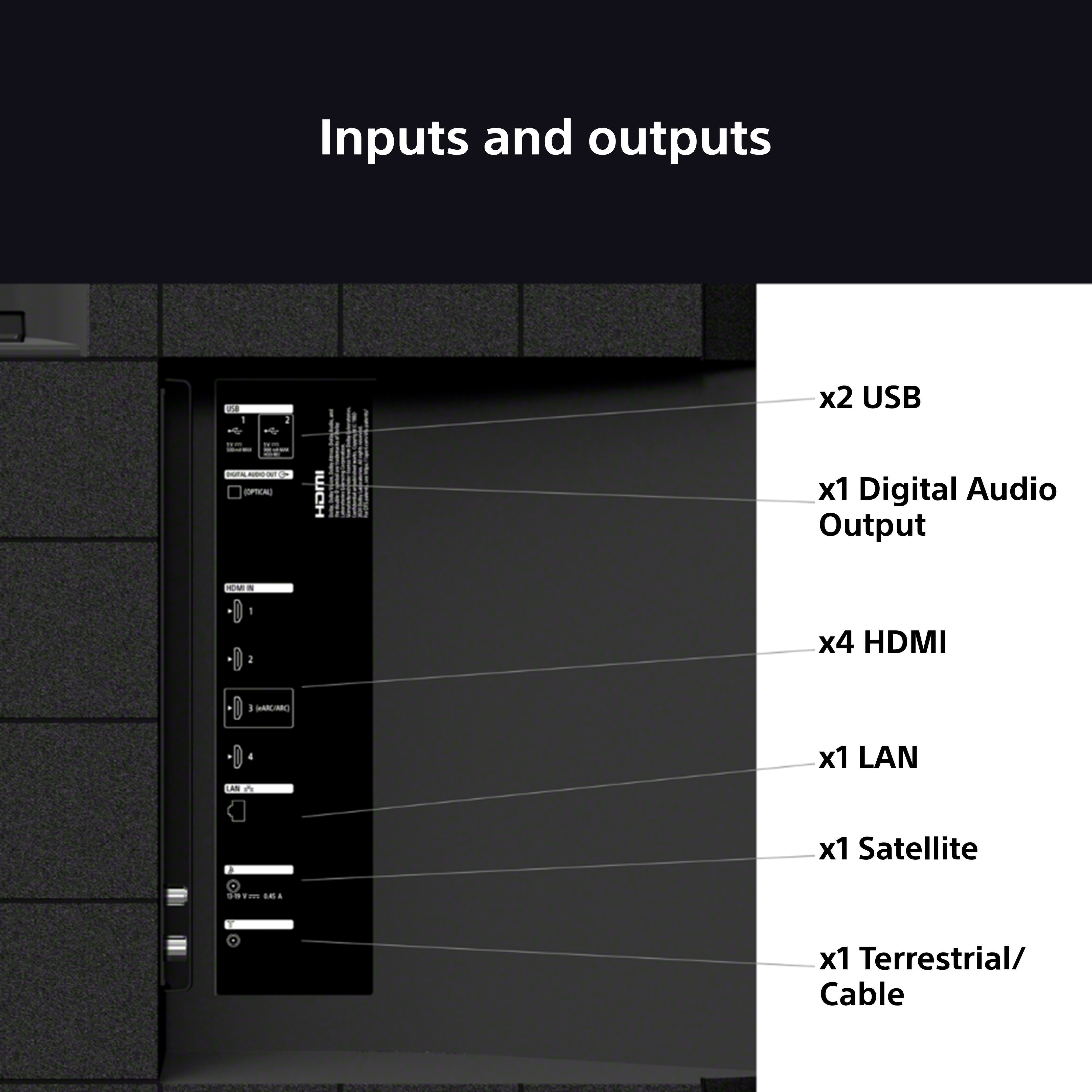 Rückseite des Fernsehers mit Anschlüssen: 2x USB, Digital Audio Out, 4x HDMI, LAN, Satellit, Terrestrisch/Kabel.