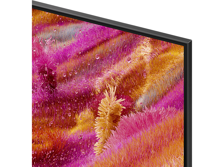 Samsung QN92F (2025) 43 Zoll Neo QLED 4K Mini LED Vision AI TV; QLED TV — Foto 3 von 5