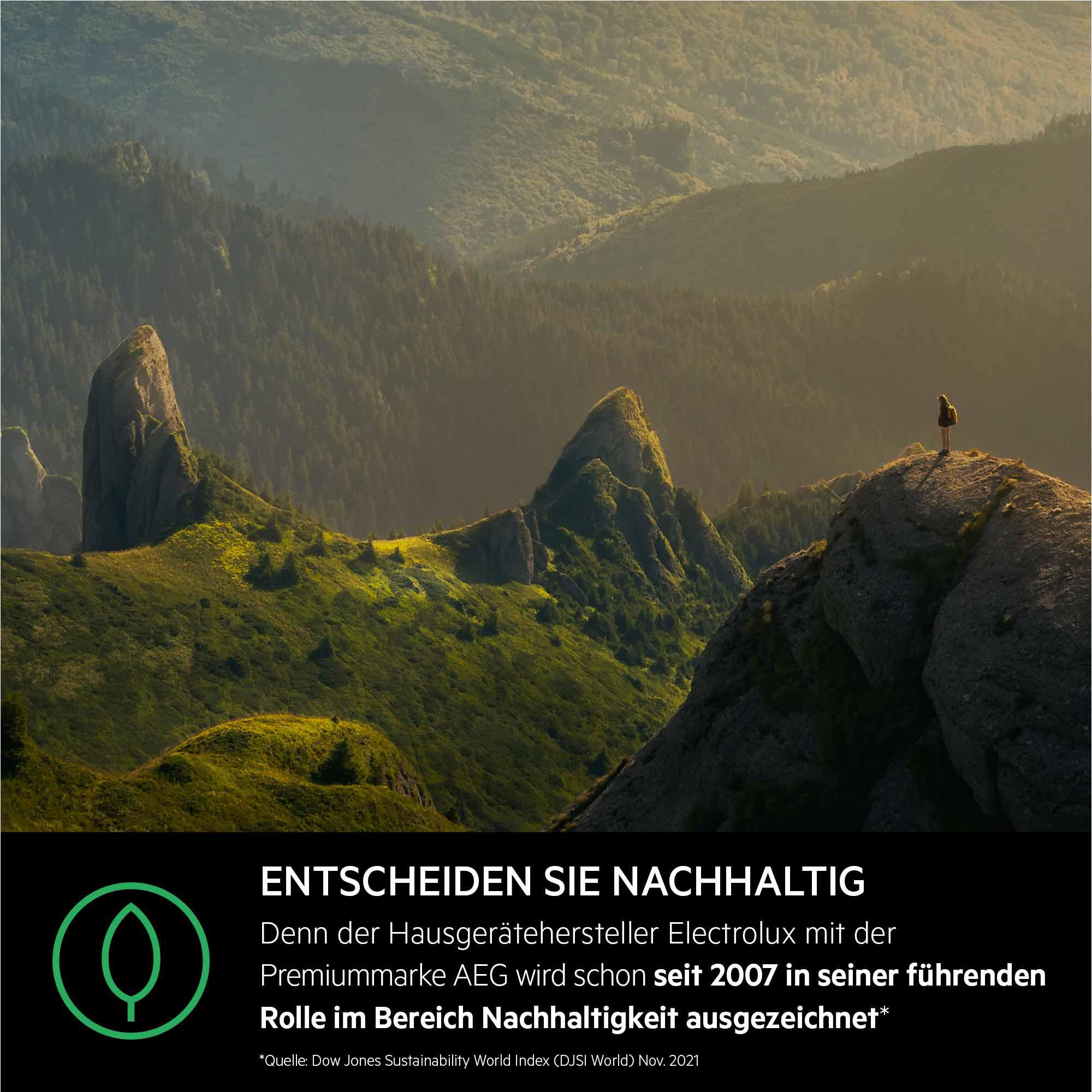 Berggipfel in Sonnenlicht. Eine Person steht auf einem Gipfel. Text: 'ENTSCHEIDEN SIE NACHHALTIG'.