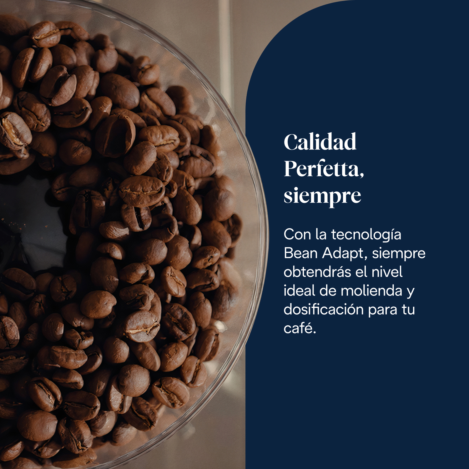 Primer plano de granos de café en un recipiente transparente. El texto dice 'Calidad Perfetta, siempre' y describe la tecnología Bean Adapt.