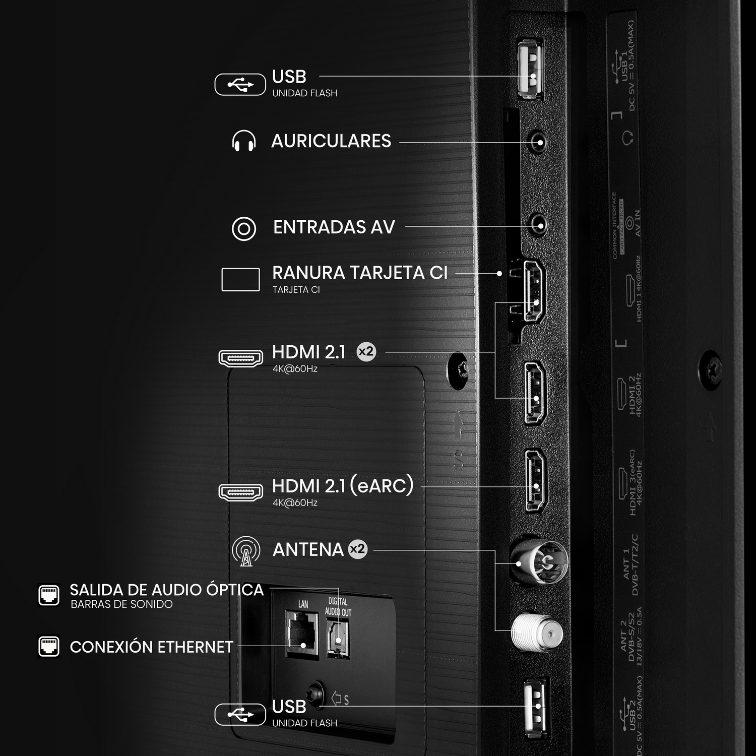 Un primer plano de la parte posterior de un televisor Hisense, que muestra varios puertos y tipos de conexión.