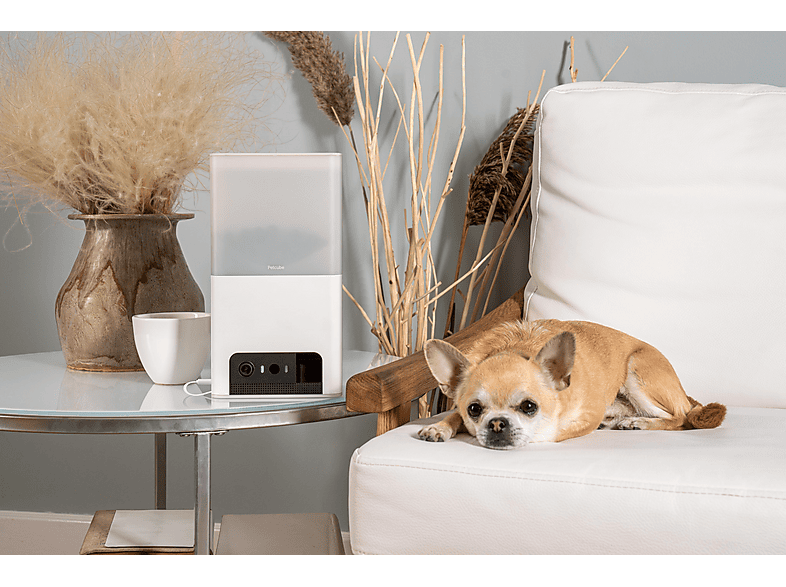 PETCUBE BITES 2 LITE Fütterungs-Kamera