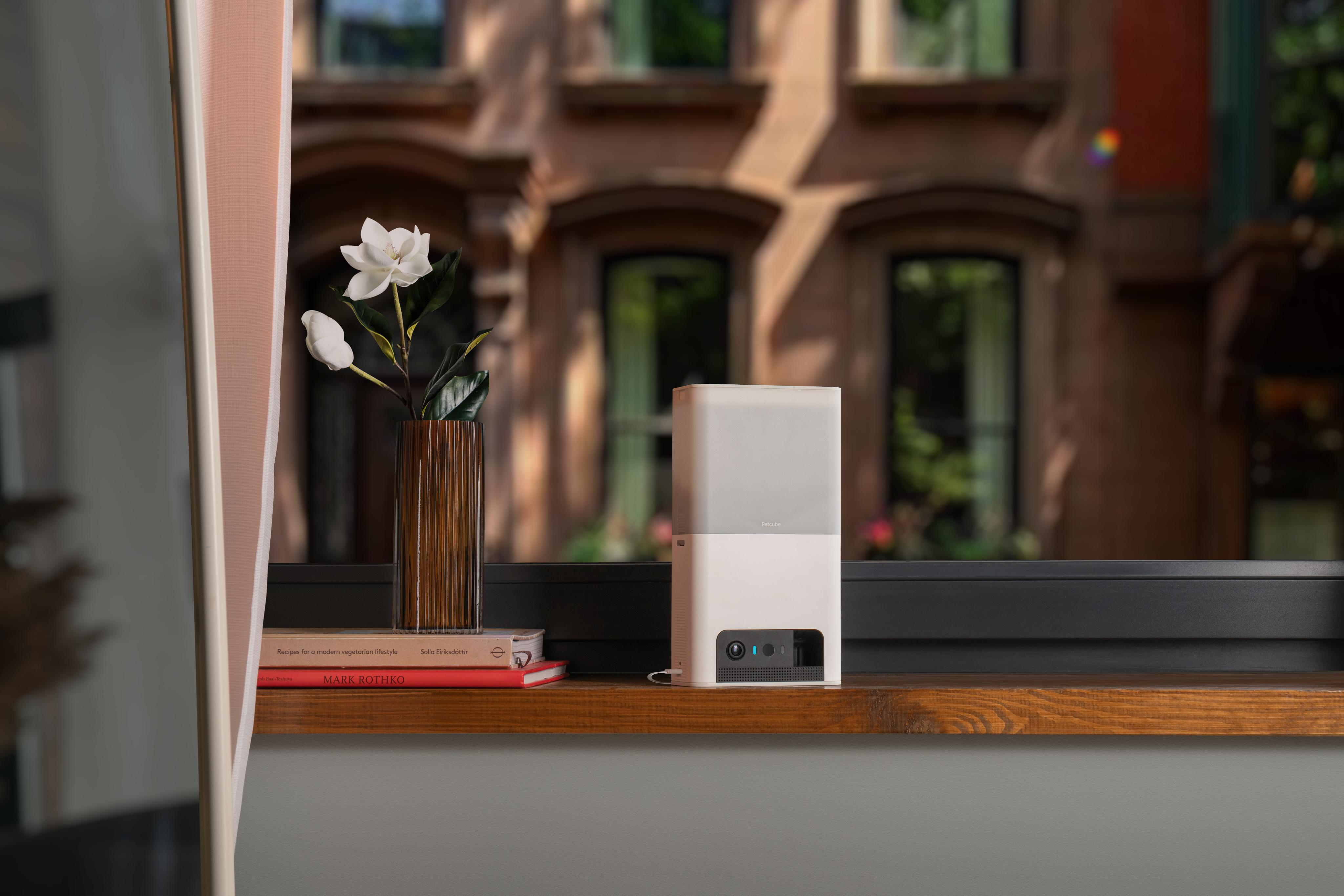 Weißes Petcube auf dem Fensterbrett. Bücher und Blumen daneben.