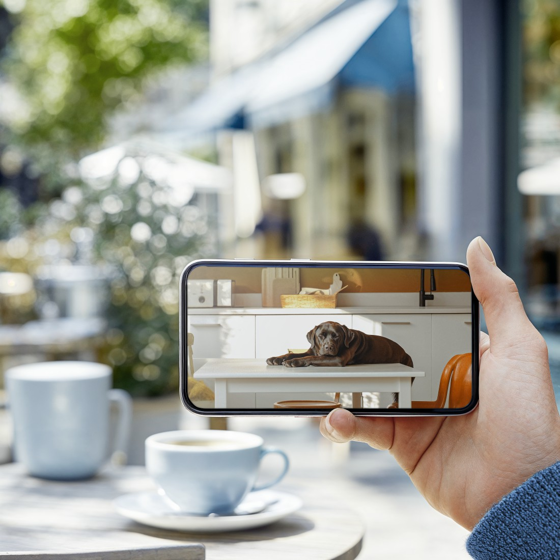 Person hält Telefon mit Hund auf Tisch in Küche. Kaffeetasse in der Nähe.