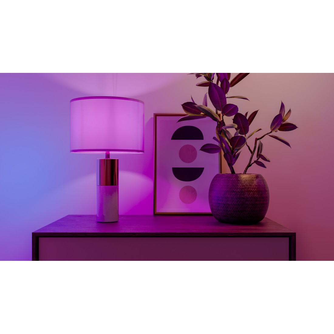 Eine Tischlampe und eine Pflanze in einem Raum mit rosa und blauer Beleuchtung.