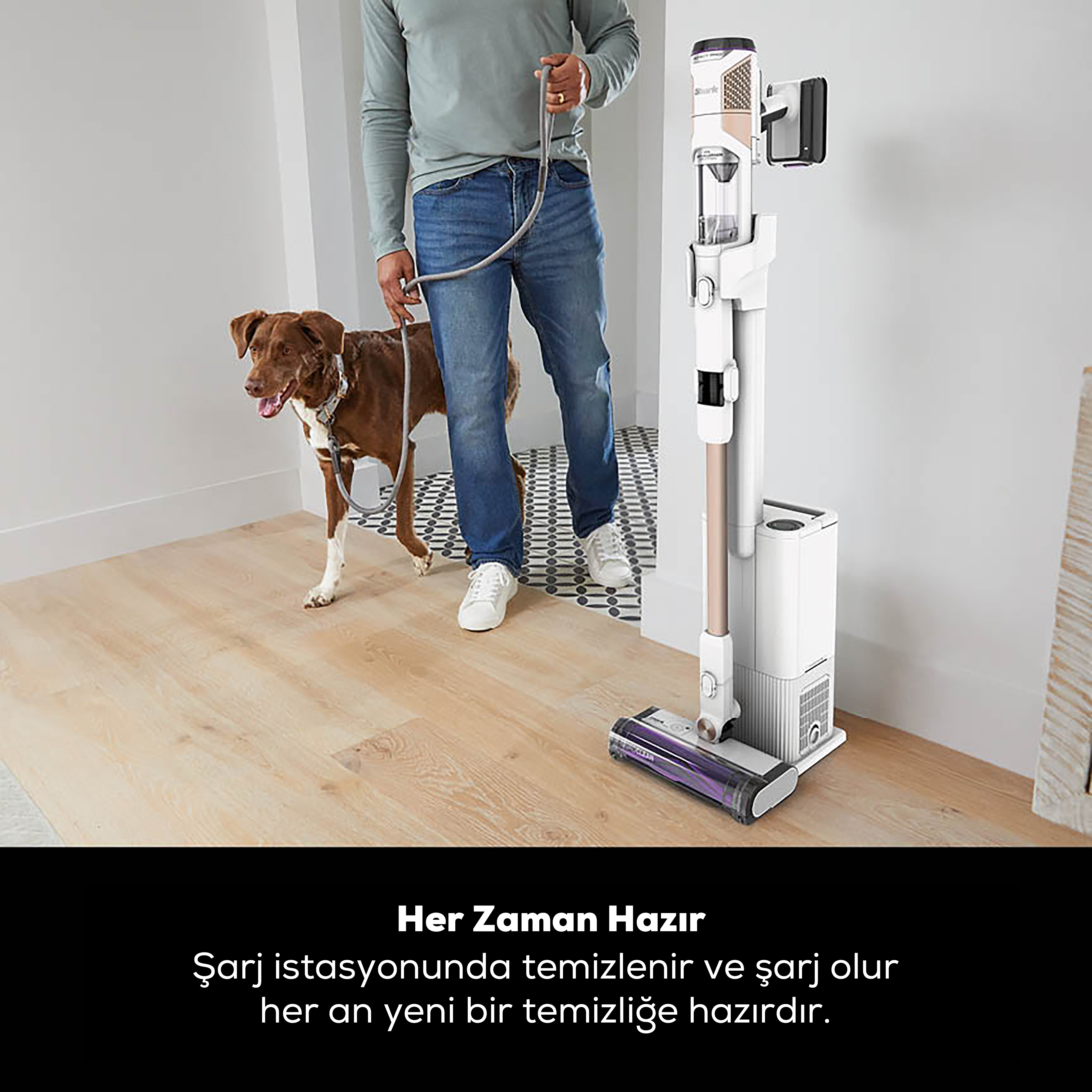 Bir adam, bir şarj istasyonunda bir Shark elektrikli süpürge tutarken bir köpeği gezdiriyor, bir sonraki temizliğe hazır.