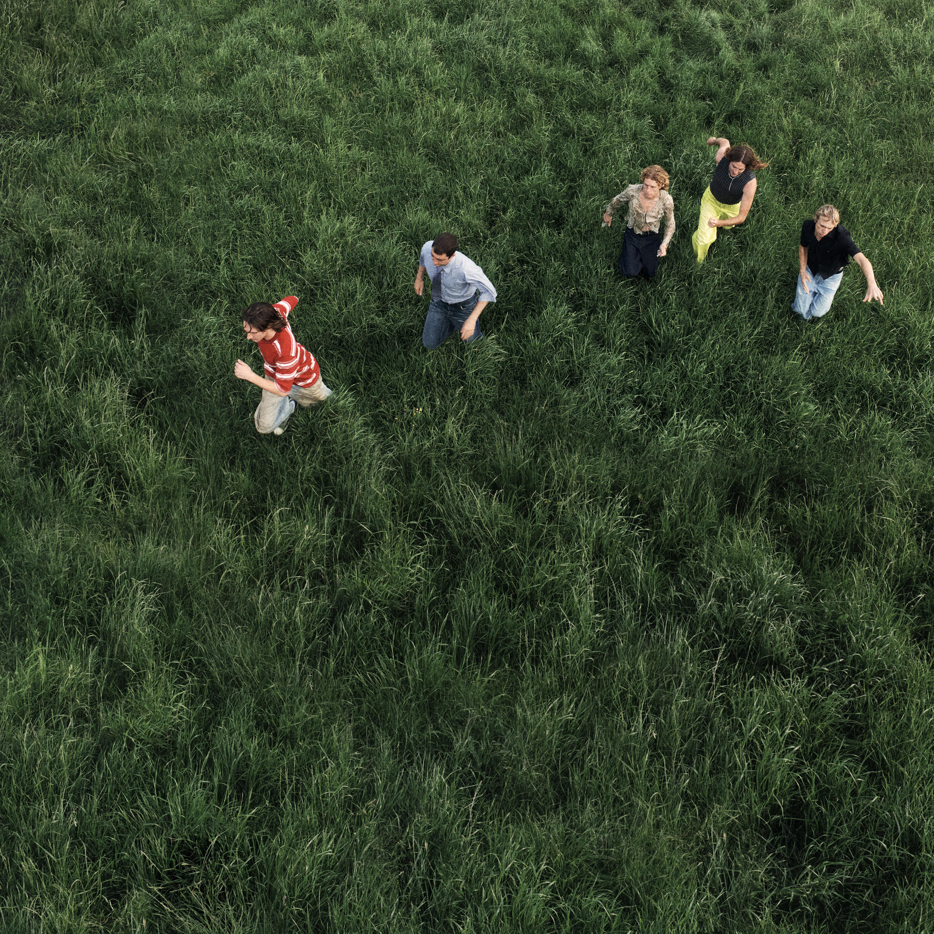 Draufsicht auf Personen, die in hohem Gras rennen. Einige knien.