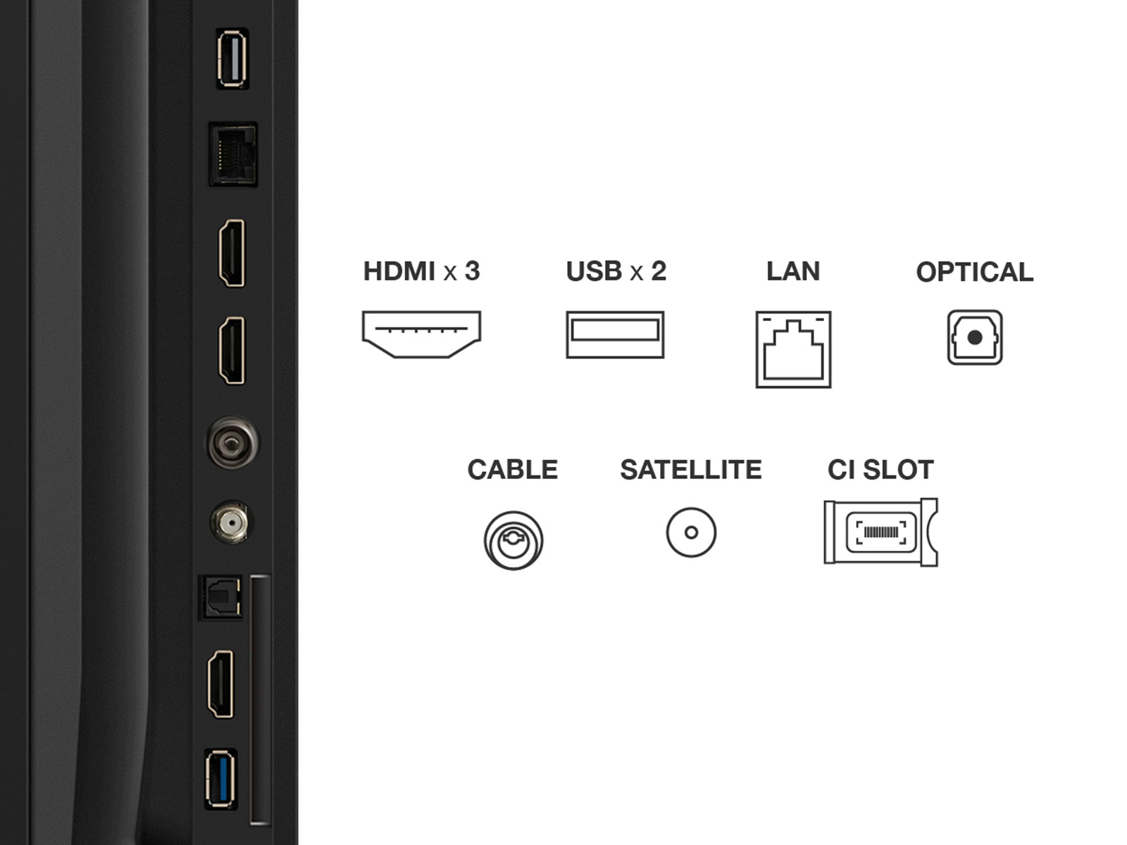 Puertos de conexión del televisor, incluidos HDMI, USB, LAN y otros.