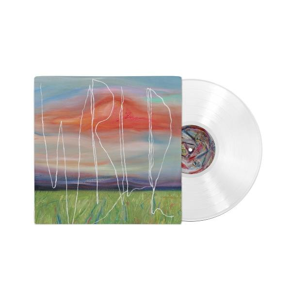 Vinyl Schallplatte mit Cover-Art. Das Cover zeigt eine abstrakte Landschaft mit dem Wort "WILD" und eine klare Vinyl.