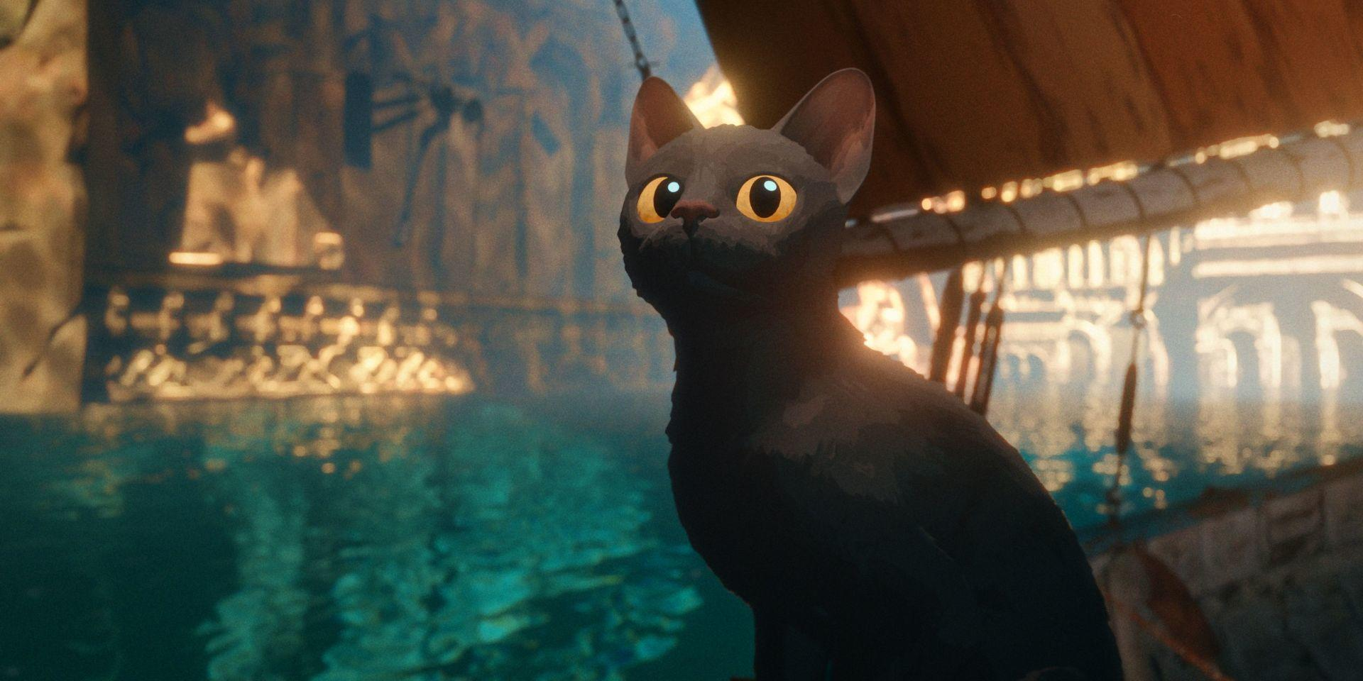 Eine schwarze Katze vor einem Boot. Die Katze schaut nach oben. Wasser im Hintergrund.