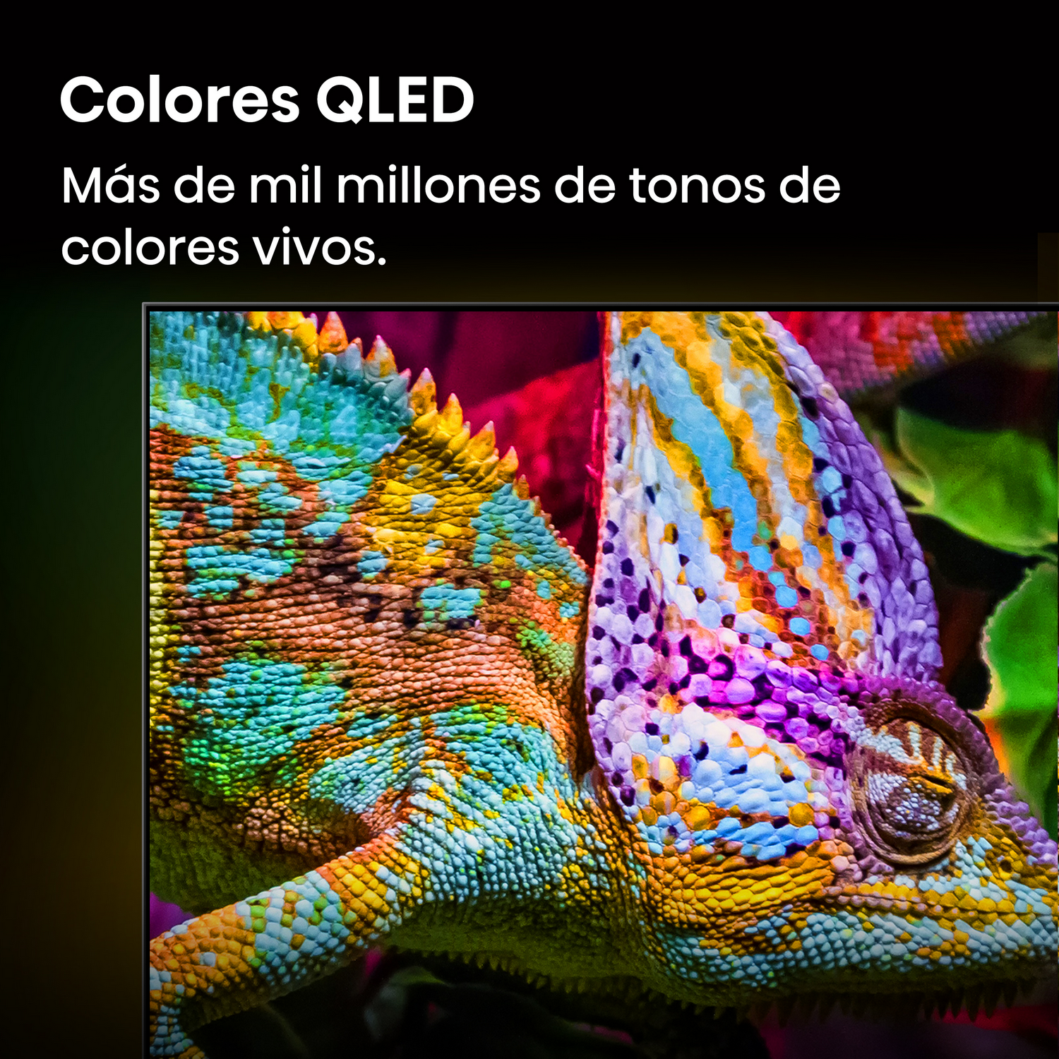 Primer plano de un camaleón, mostrando colores QLED vibrantes en una pantalla.