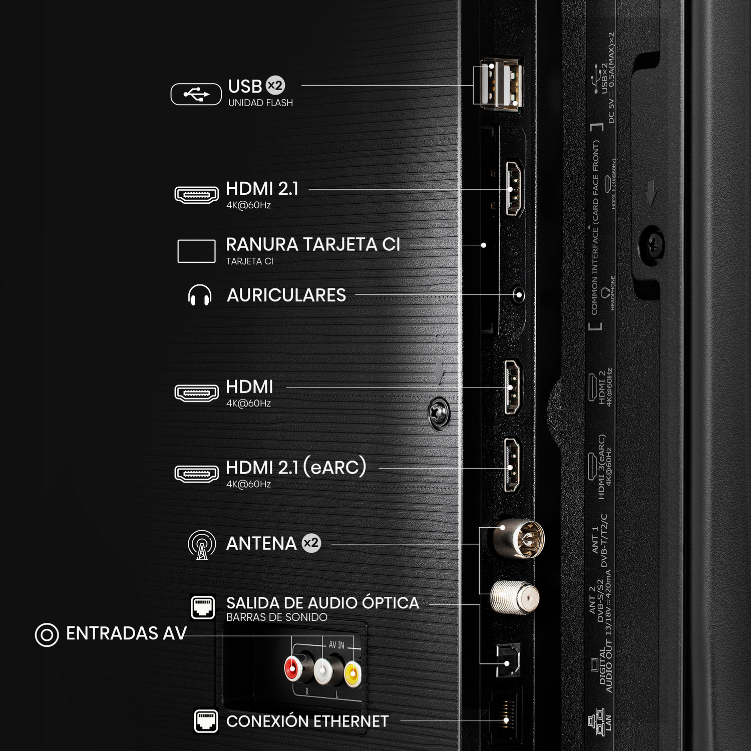 Panel trasero del TV con varios puertos y etiquetas, detalles de primer plano.