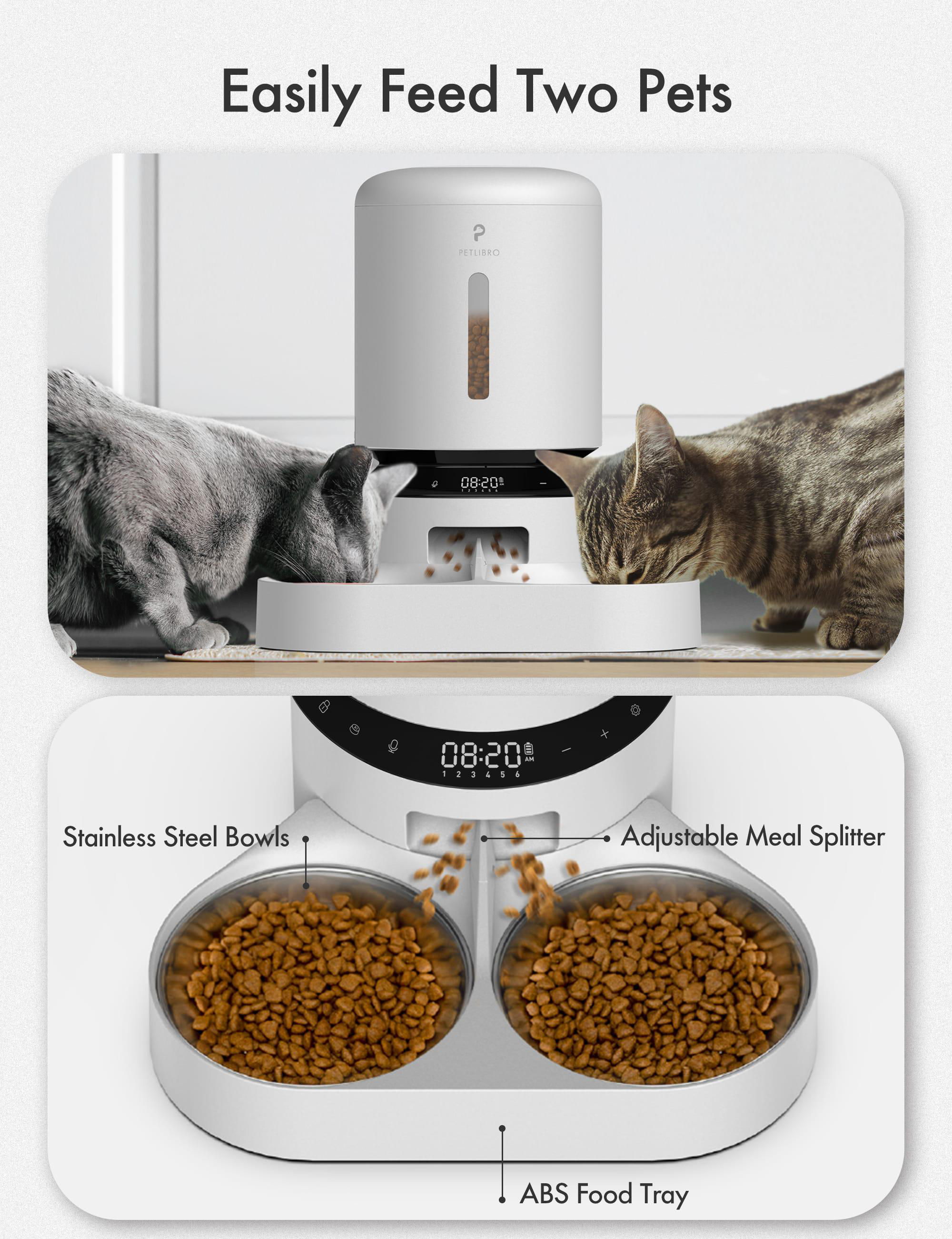 Zwei Katzen fressen aus einem Doppelschüssel-Futterautomaten.