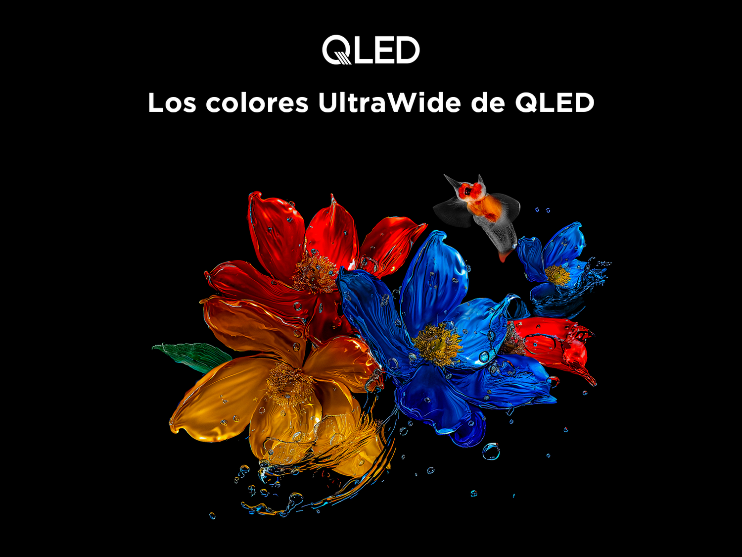 Flores coloridas con gotas de agua sobre un fondo negro. Un colibrí vuela sobre las flores. Texto QLED arriba.