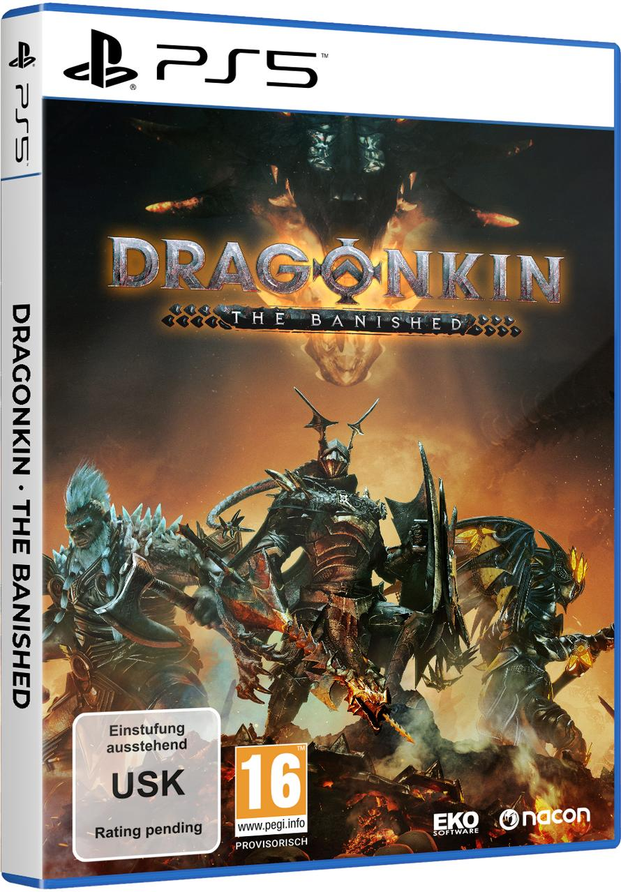 PS5-Spielcover: Dragonkin, Fantasy-Charaktere in Rüstung. Der Hintergrund ist ein feuriger Himmel.