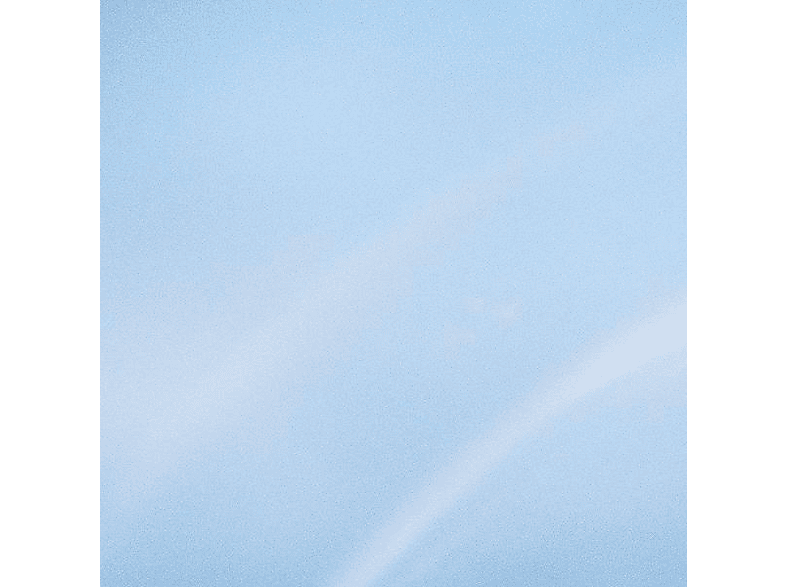 Turnstile - NEVER ENOUGH - (LP (analog))