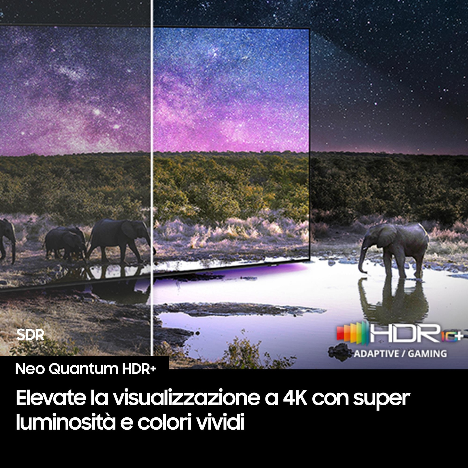 Immagine di elefanti nell'acqua, schermo TV sullo sfondo, cielo stellato. Testo: Neo Quantum HDR+, Eleva 4K.