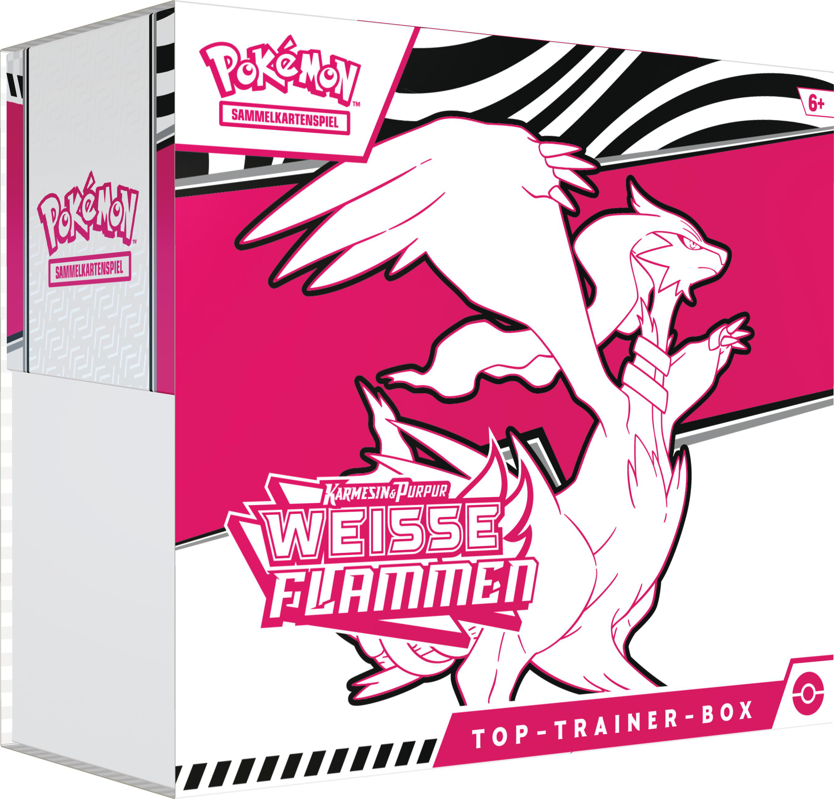 Nahaufnahme einer weißen und rosa Pokemon Top-Trainer-Box mit einem Drachenbild.