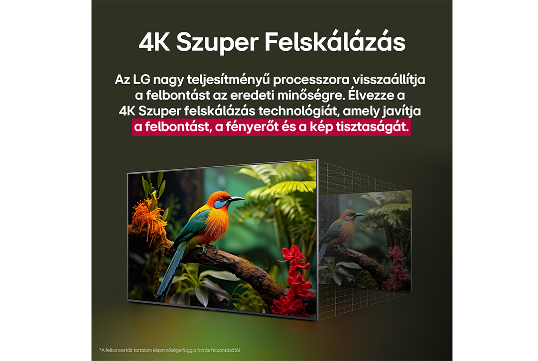 TV képernyő madárral, magyar szöveggel a felskálázásról.