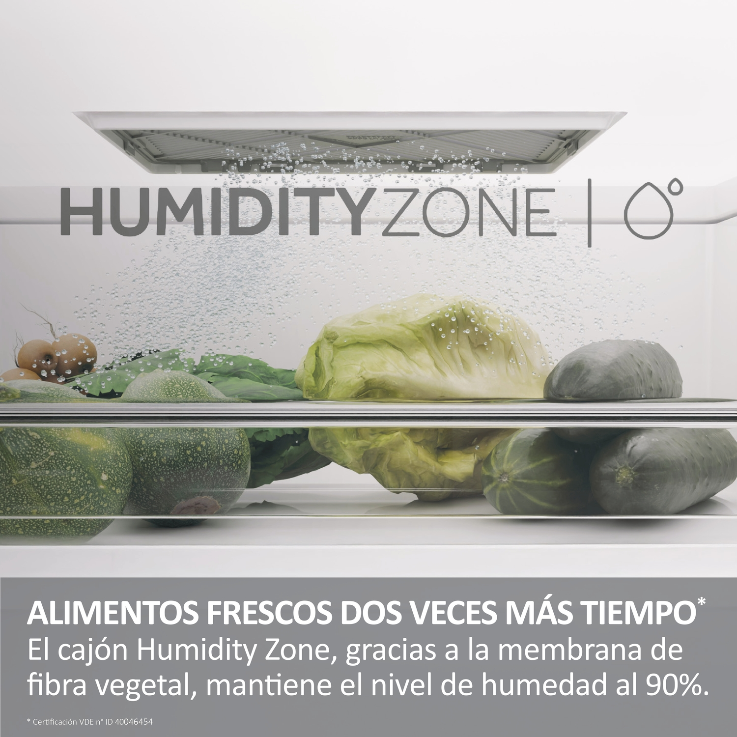 Interior de nevera con verduras: col, calabacín, etc. Texto HumidityZone arriba.
