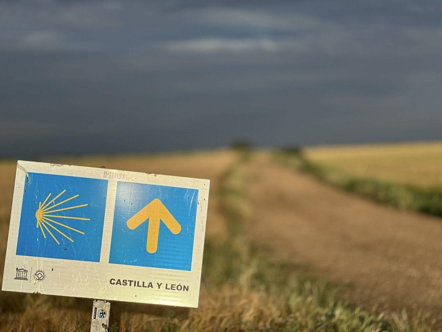 Ein Wegweiser, der einen Wanderweg anzeigt. Ein Schild mit einem Pfeil und einer Jakobsmuschel.