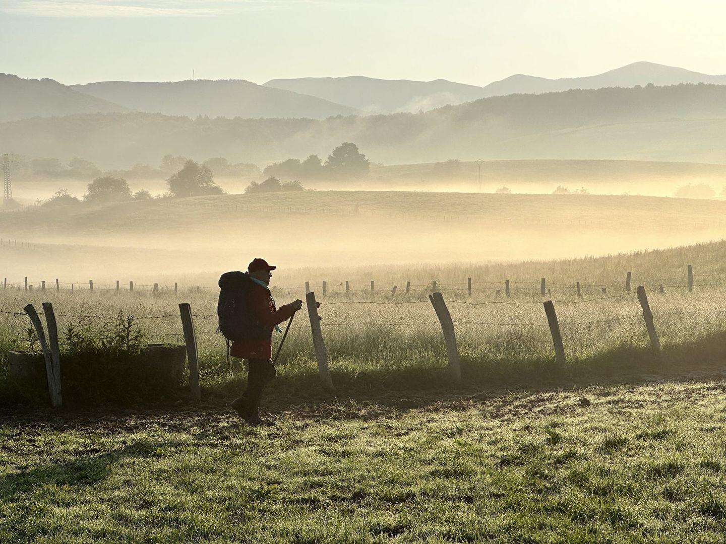 Wanderer geht durch nebliges Feld, Berge im Hintergrund, weiches Licht.