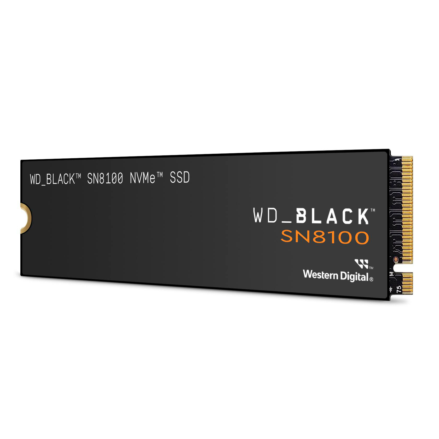 Schwarze WD_BLACK SN8100 SSD auf Weiß. Goldener Anschluss rechts. Weißer Text.