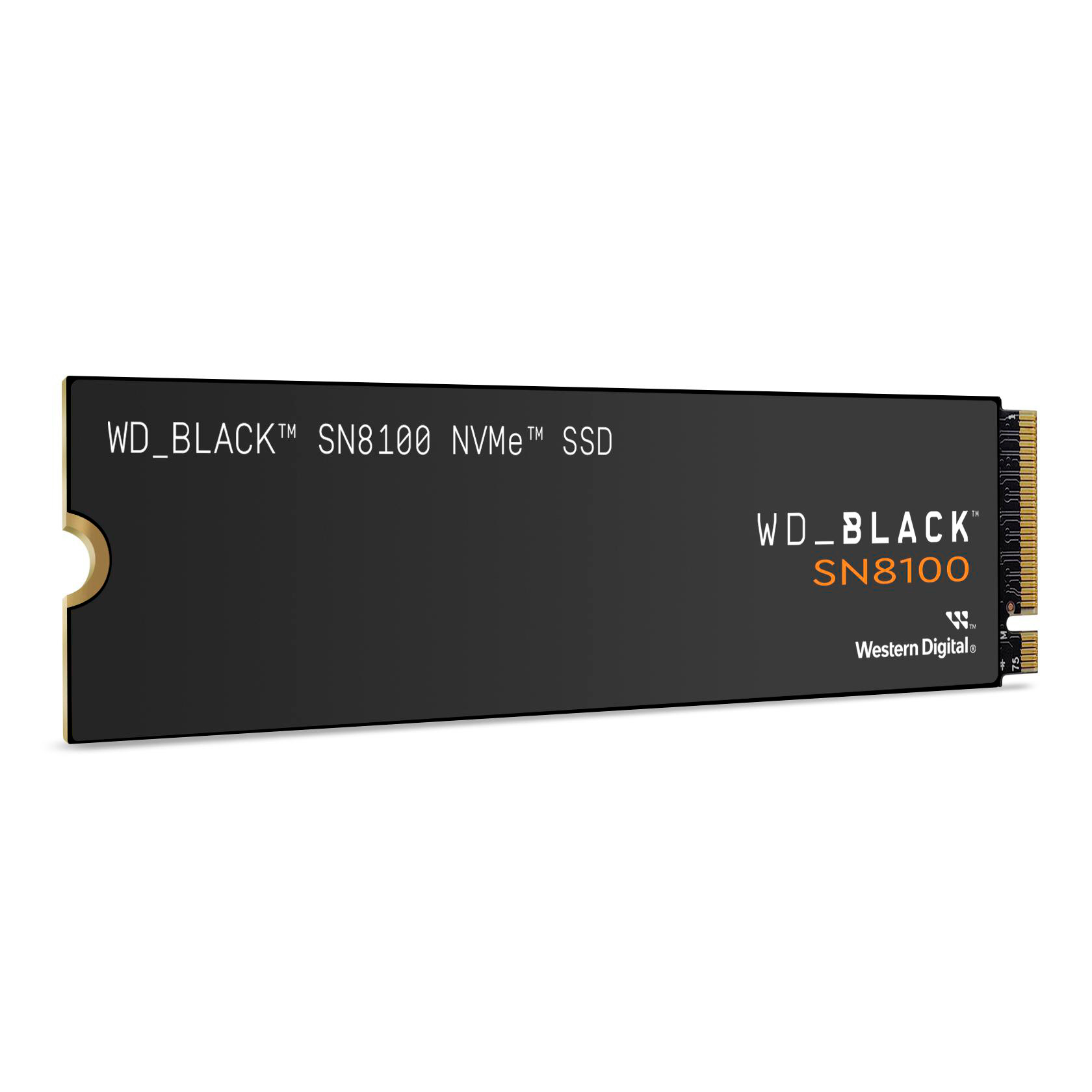 Schwarze WD_BLACK SN8100 SSD auf Weiß. Goldener Anschluss rechts. Weißer Text.