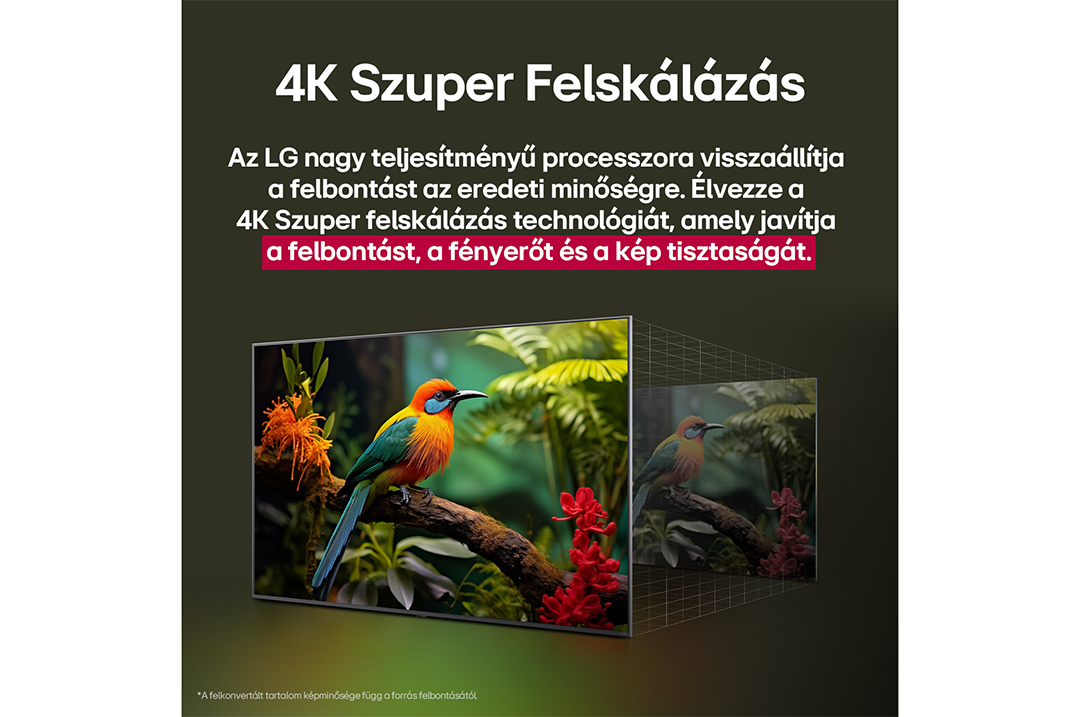 A kép egy LG TV-t mutat, amely egy színes madárjelenetet jelenít meg. 3D dobozhatás a képernyő körül.