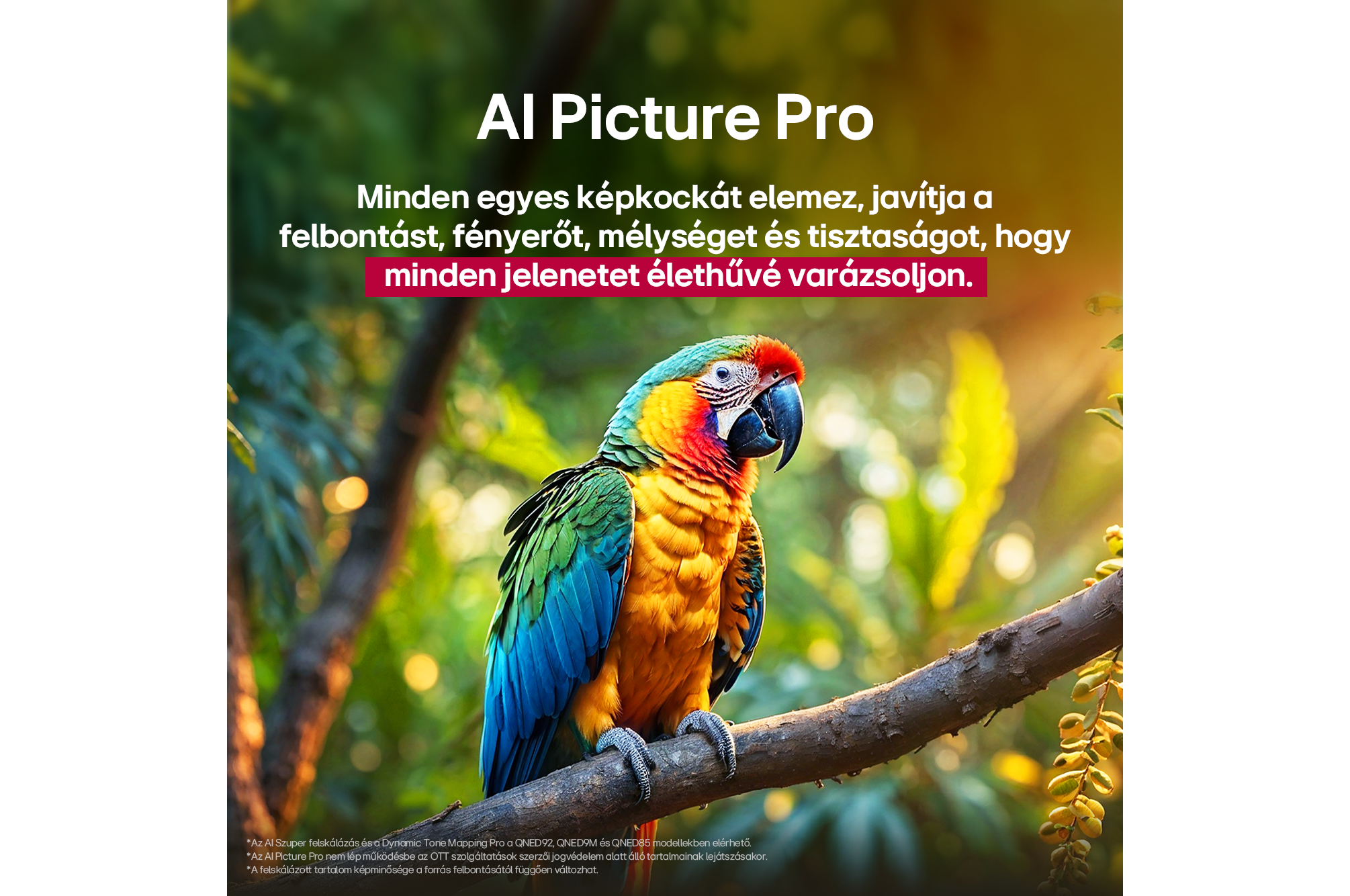Papagáj egy ágon. Színes madár pirossal, kékkel, sárgával. Zöld és elmosódott háttér.