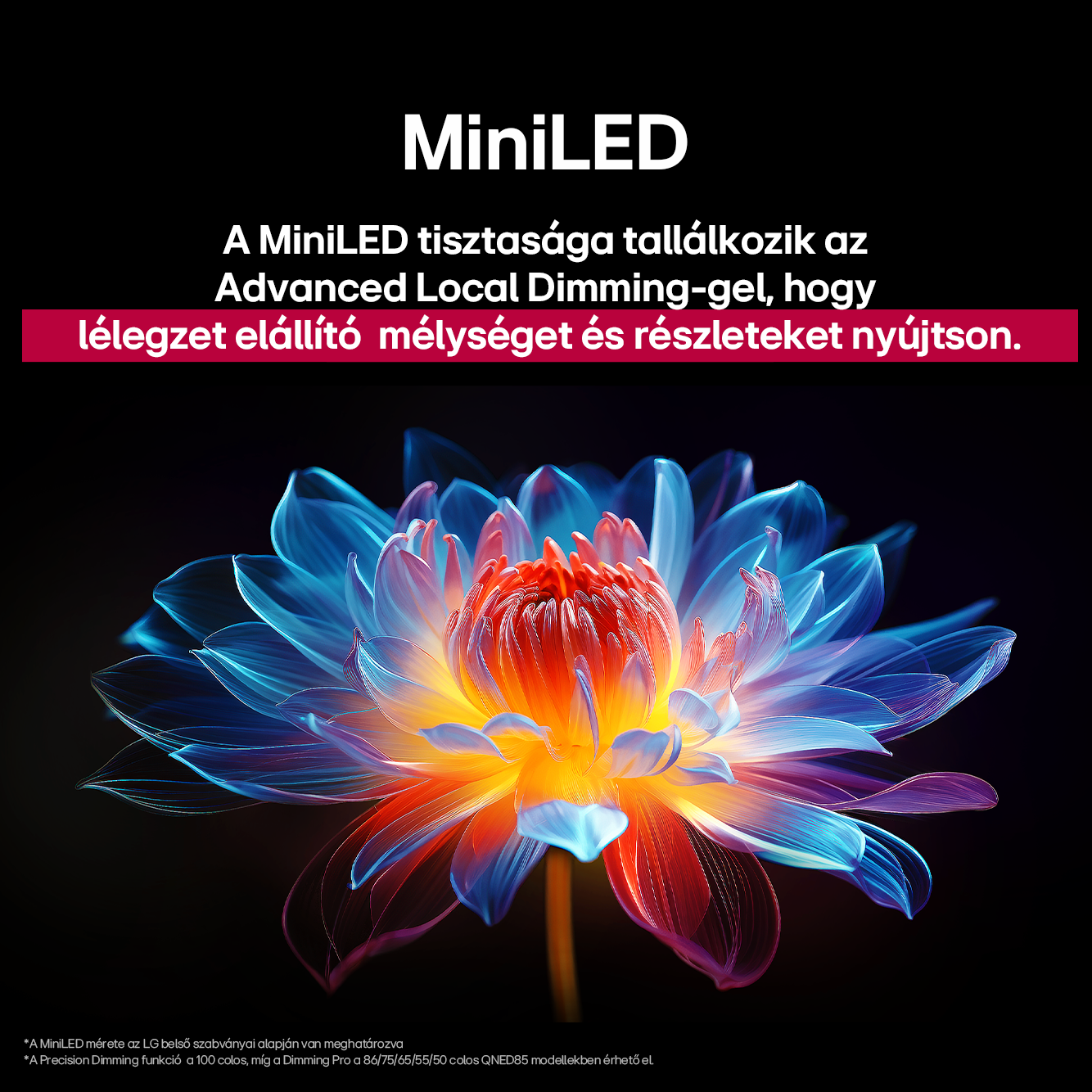 Egy virág közelképe kék, narancs és fehér szirmokkal, fekete háttér előtt.