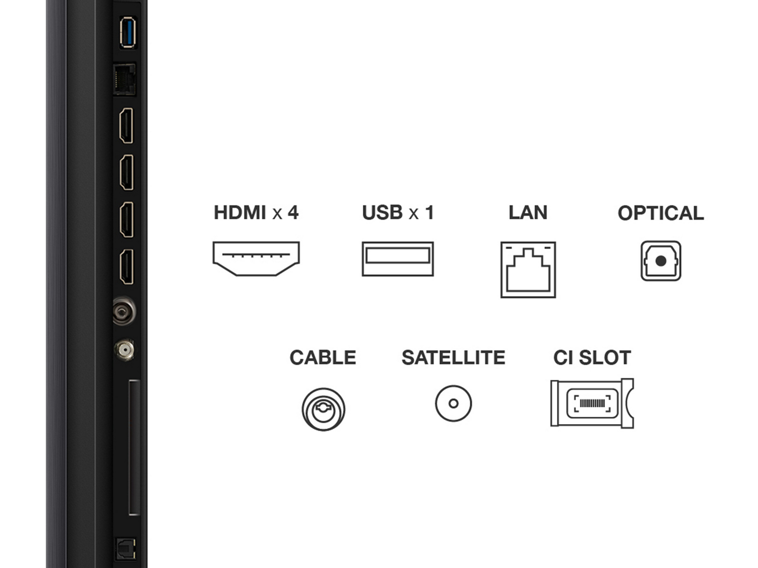 Puertos de TV: HDMI x 4, USB x 1, LAN, Óptico, Cable, Satélite, Ranura CI.