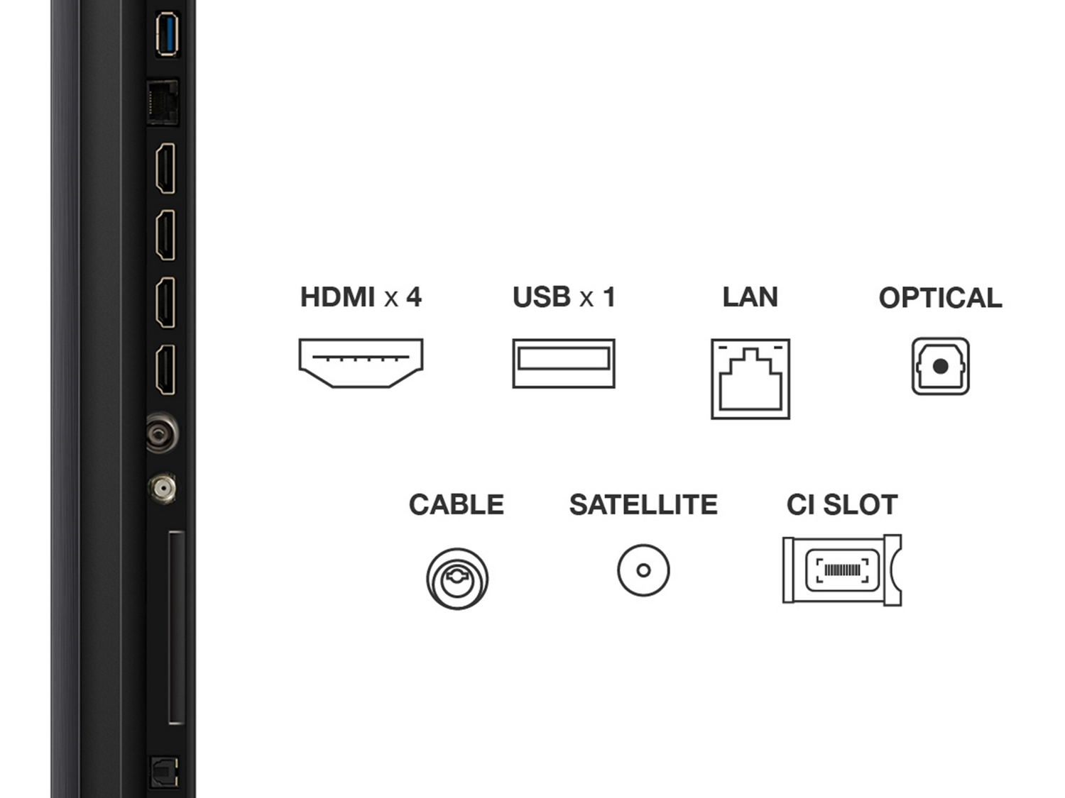 Detalle de puertos de TV: HDMI, USB, LAN, Óptico, Cable, Satélite y ranura CI se muestran sobre fondo blanco.