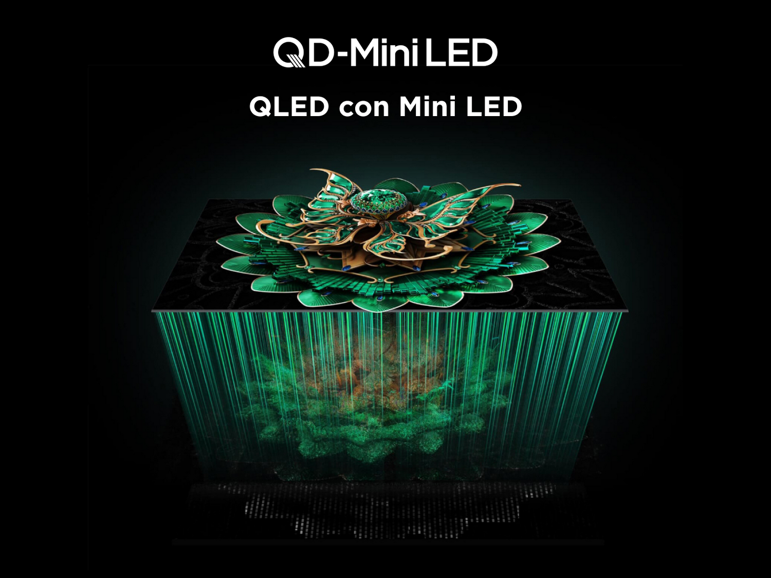 Una pantalla de TV que muestra una exhibición floral verde. La pantalla está etiquetada con QD-Mini LED.