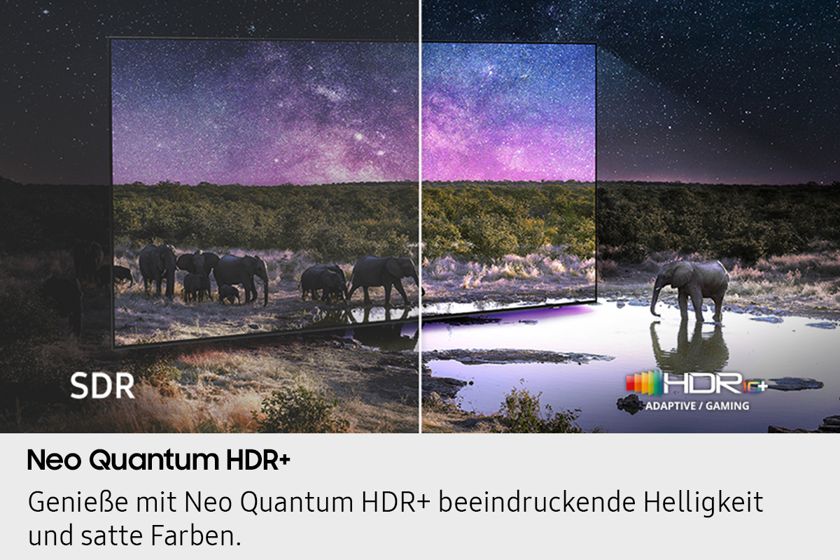 Un écran de télévision montrant une comparaison entre les modes SDR et HDR+, affichant une scène de savane.