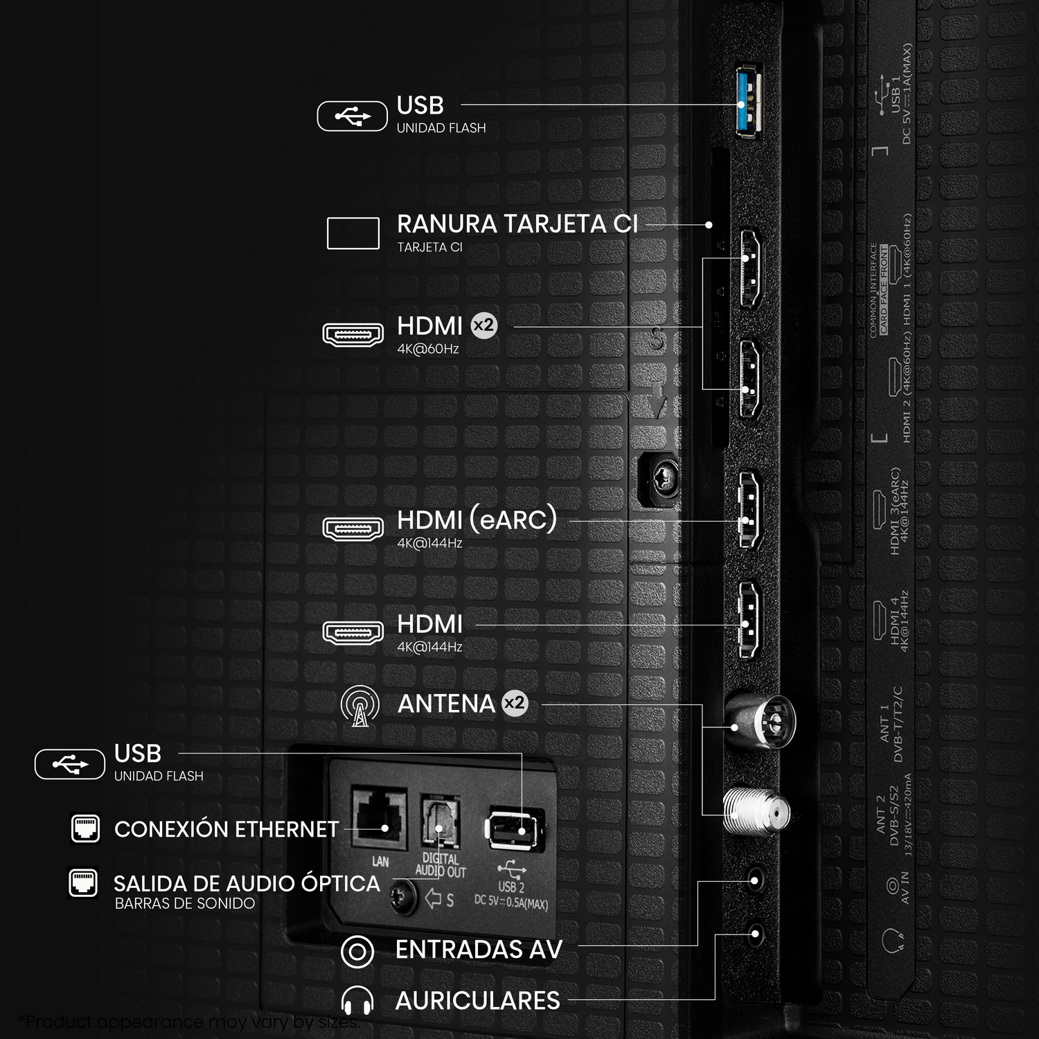 Panel trasero de un televisor con puertos etiquetados.