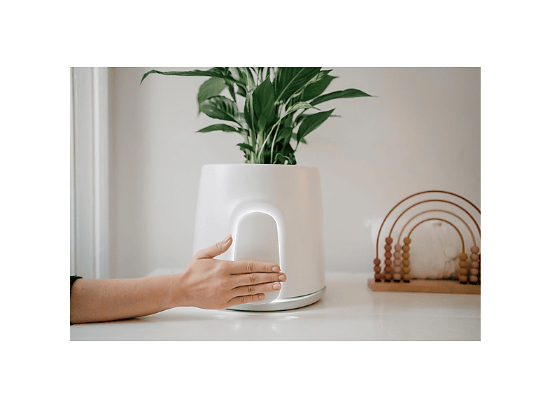 Thumbnail - VITESY Natede Smart Natürlicher Luftreiniger