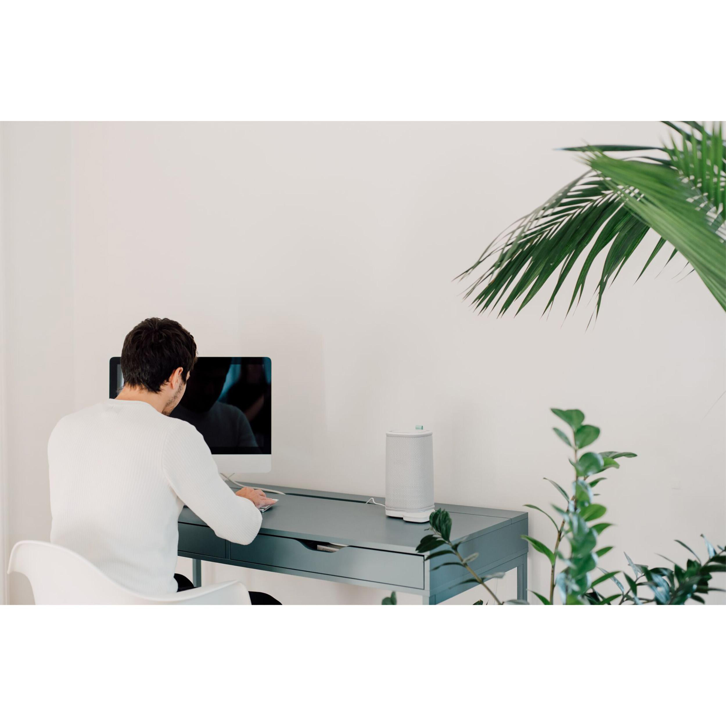 Mann am Schreibtisch benutzt Computer. Auf dem Schreibtisch steht ein Lautsprecher, hinter ihm eine Palme.