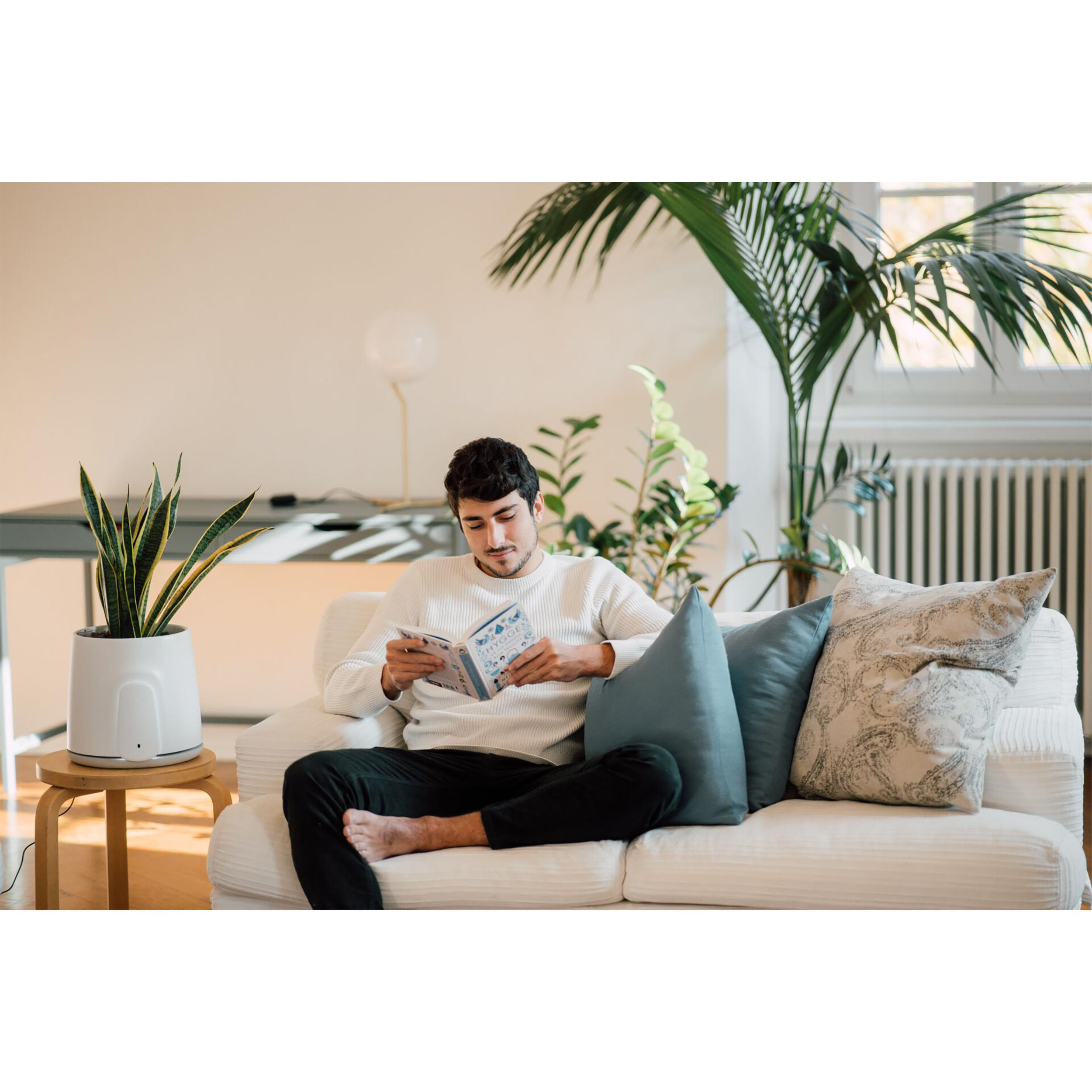 Mann liest Buch auf Couch. Pflanze und Kissen neben ihm.