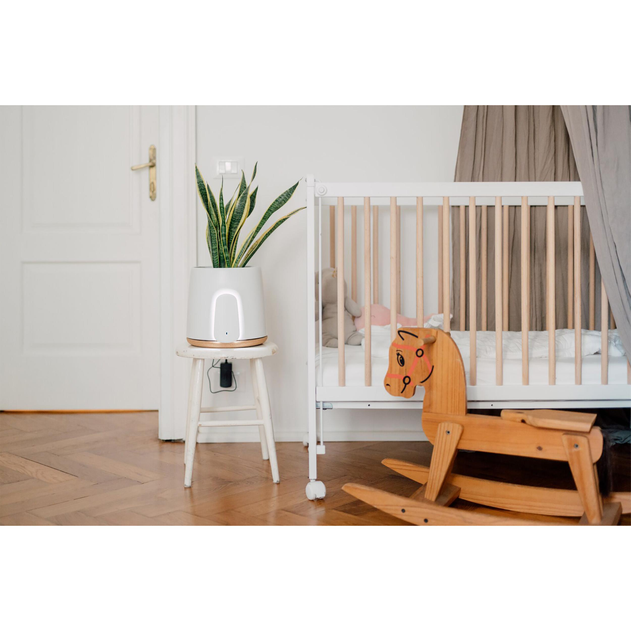 Ein Babyzimmer mit einem weißen Kinderbett, einer Pflanze auf einem Hocker und einem Holzschaukelpferd.