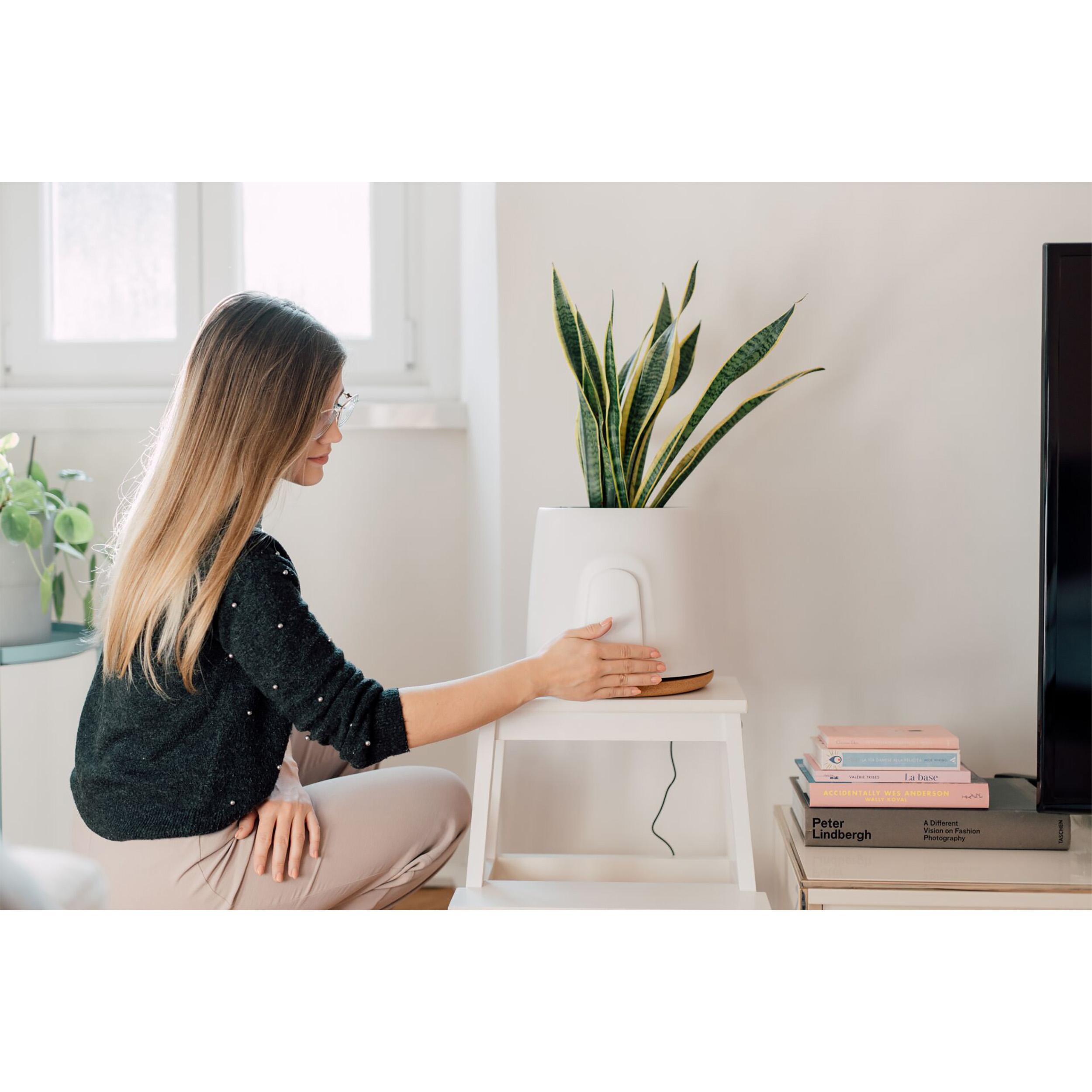 Frau berührt Pflanze in weißem Topf. Bücher, Fernseher und Fenster sind im Hintergrund.