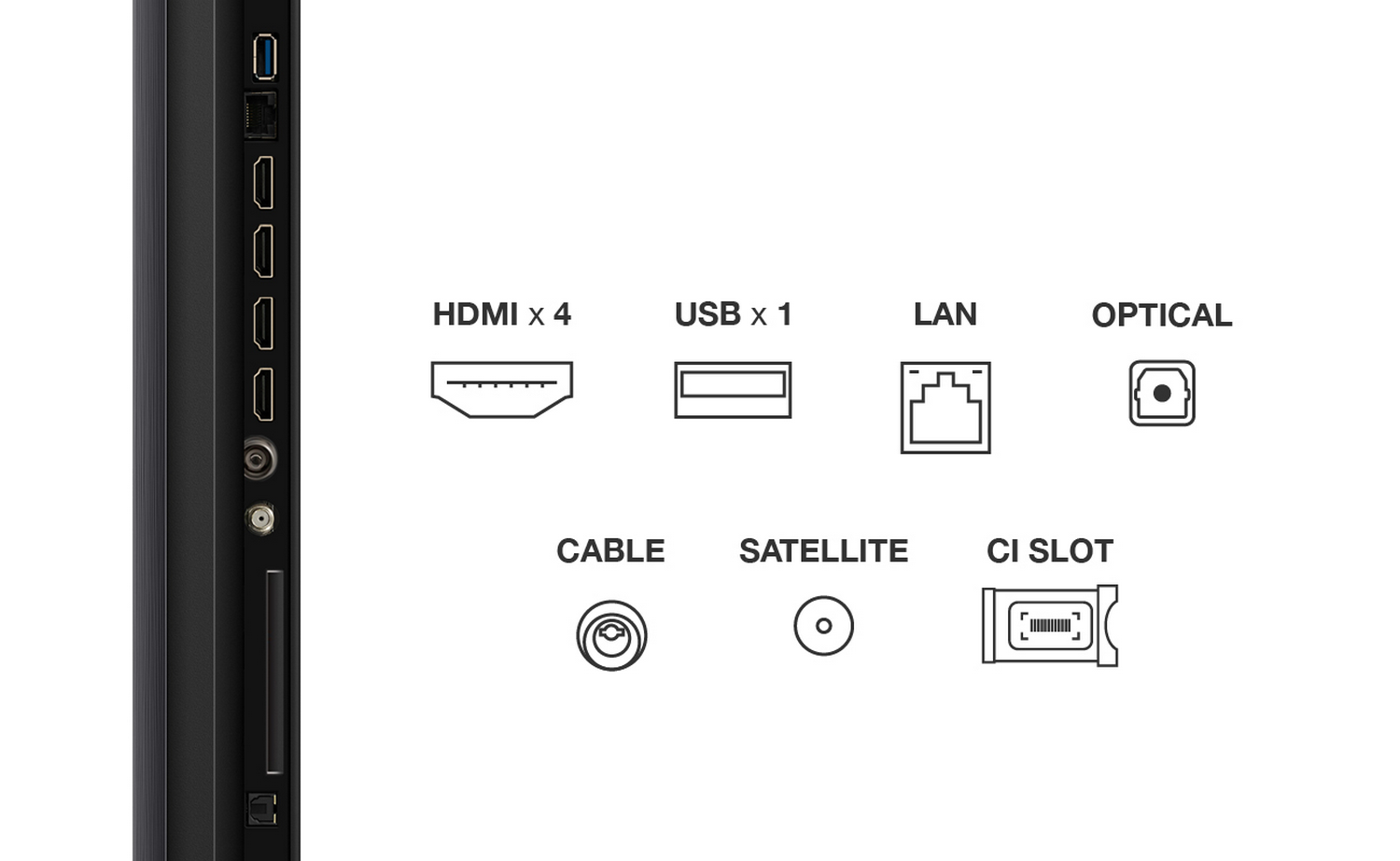Puertos de TV: HDMI x4, USB x1, LAN, Óptico, Cable, Satélite y Ranura CI.