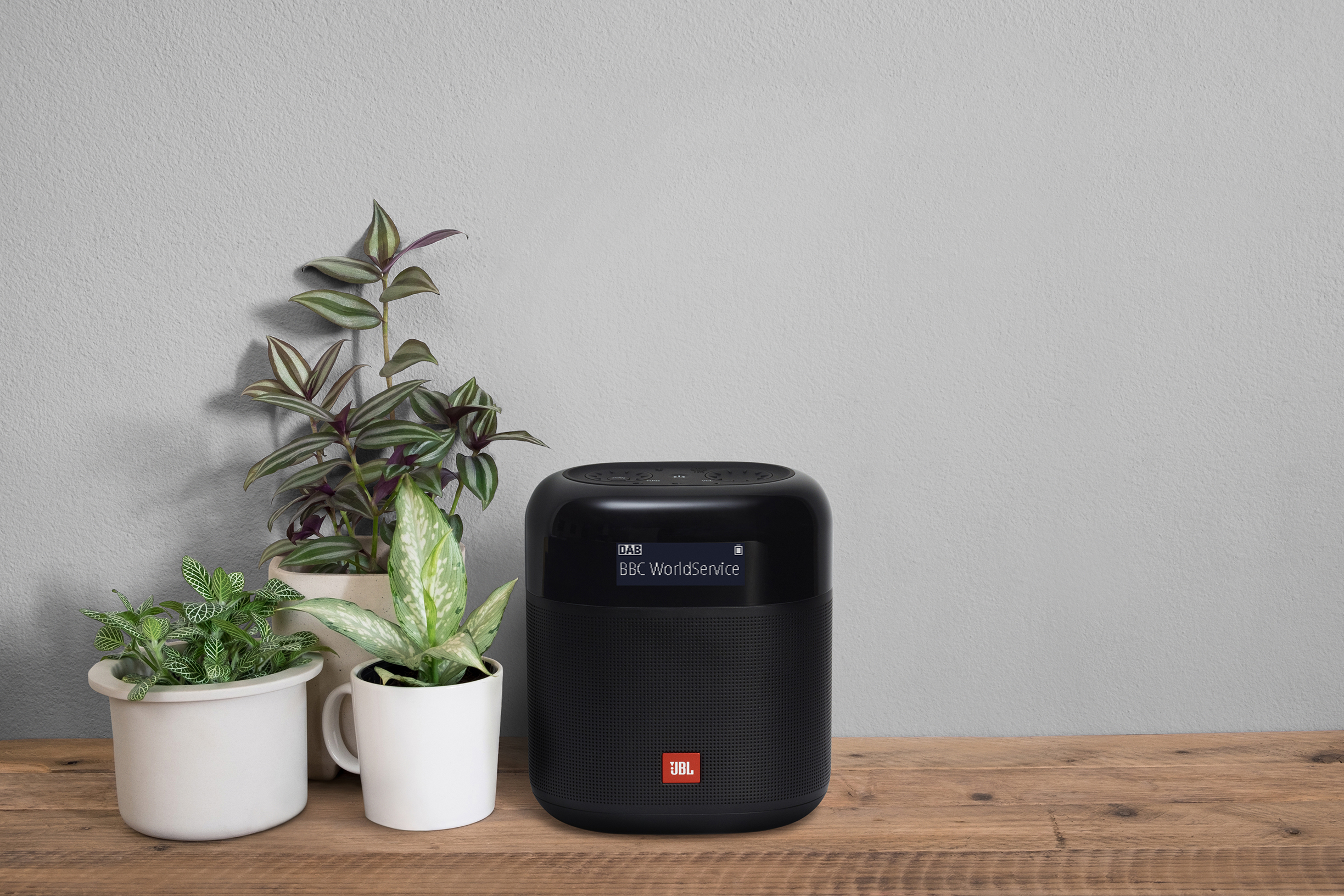 Altoparlante JBL nero con display BBC WorldService, vicino a piante su un tavolo di legno.