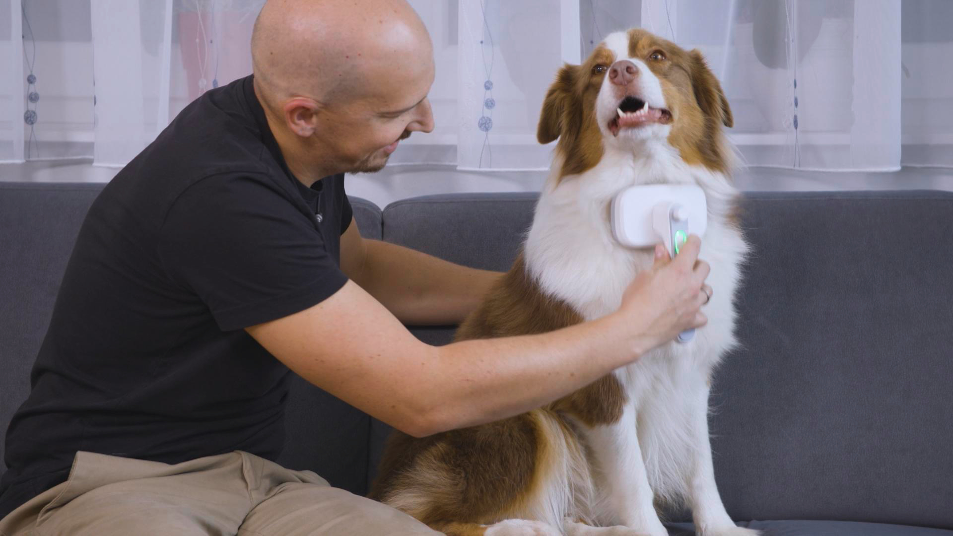 Ein Mann bürstet einen Hund, der Hund ist glücklich. Die Bürste hat ein grünes Licht.