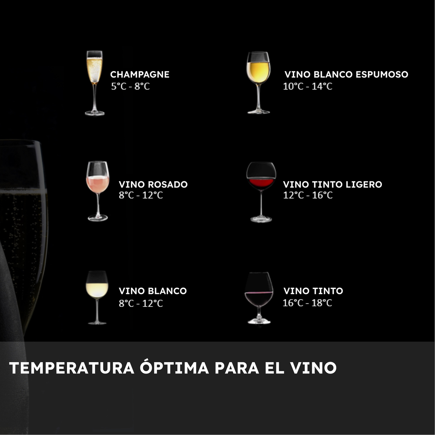 Copas de vino con diferentes vinos. Champán, vinos blancos, rosados y tintos, con sus temperaturas óptimas.