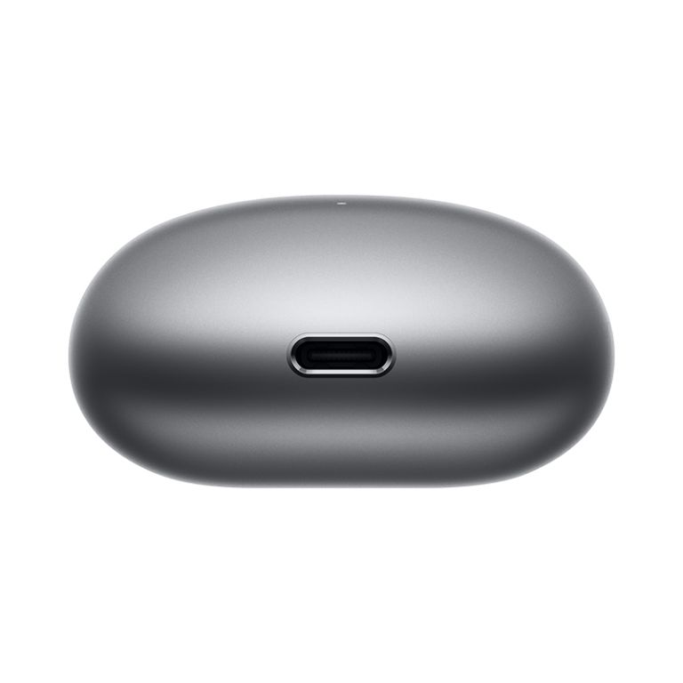 Graues Ladeetui mit USB-C-Anschluss.